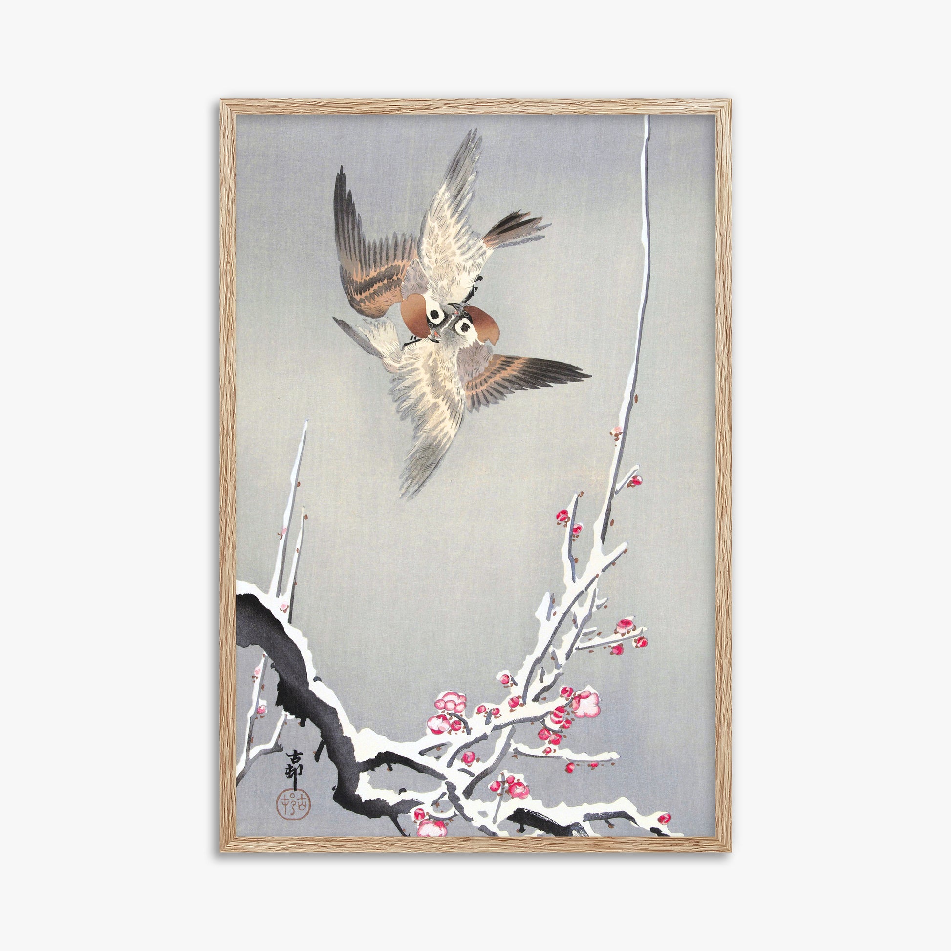 Ohara Koson: Sparrows and Snowy Plum Tree, 61x91cm Framed Art Reproduction With Raw Oak Frame