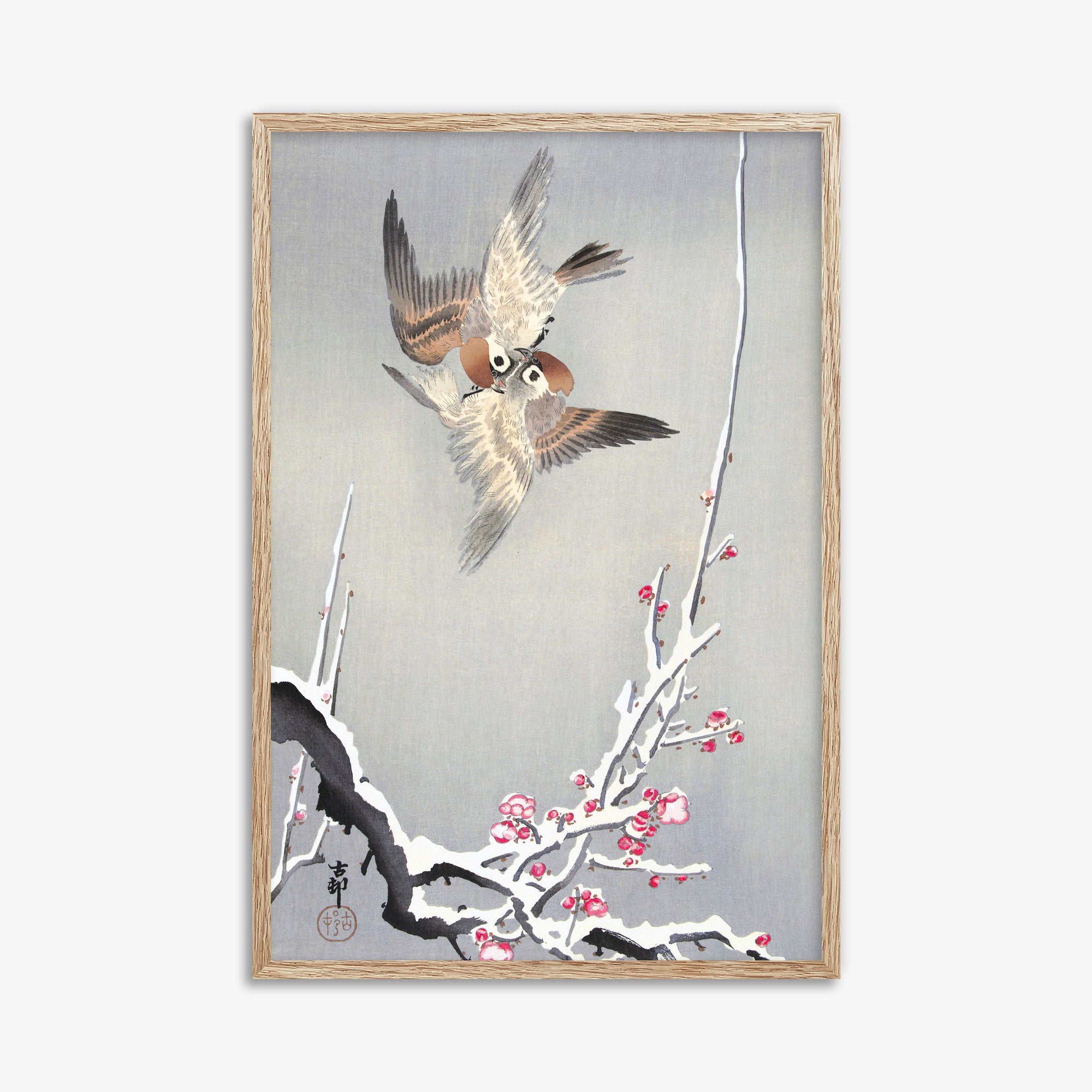 Ohara Koson: Sparrows and Snowy Plum Tree, 61x91cm Framed Art Reproduction With Raw Oak Frame