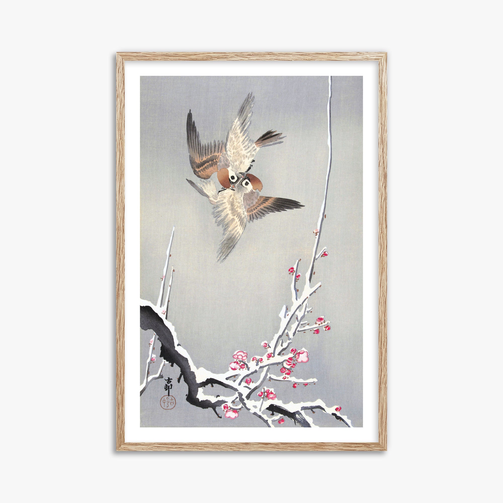 Ohara Koson: Sparrows and Snowy Plum Tree, 61x91cm Framed Art Reproduction With Raw Oak Frame