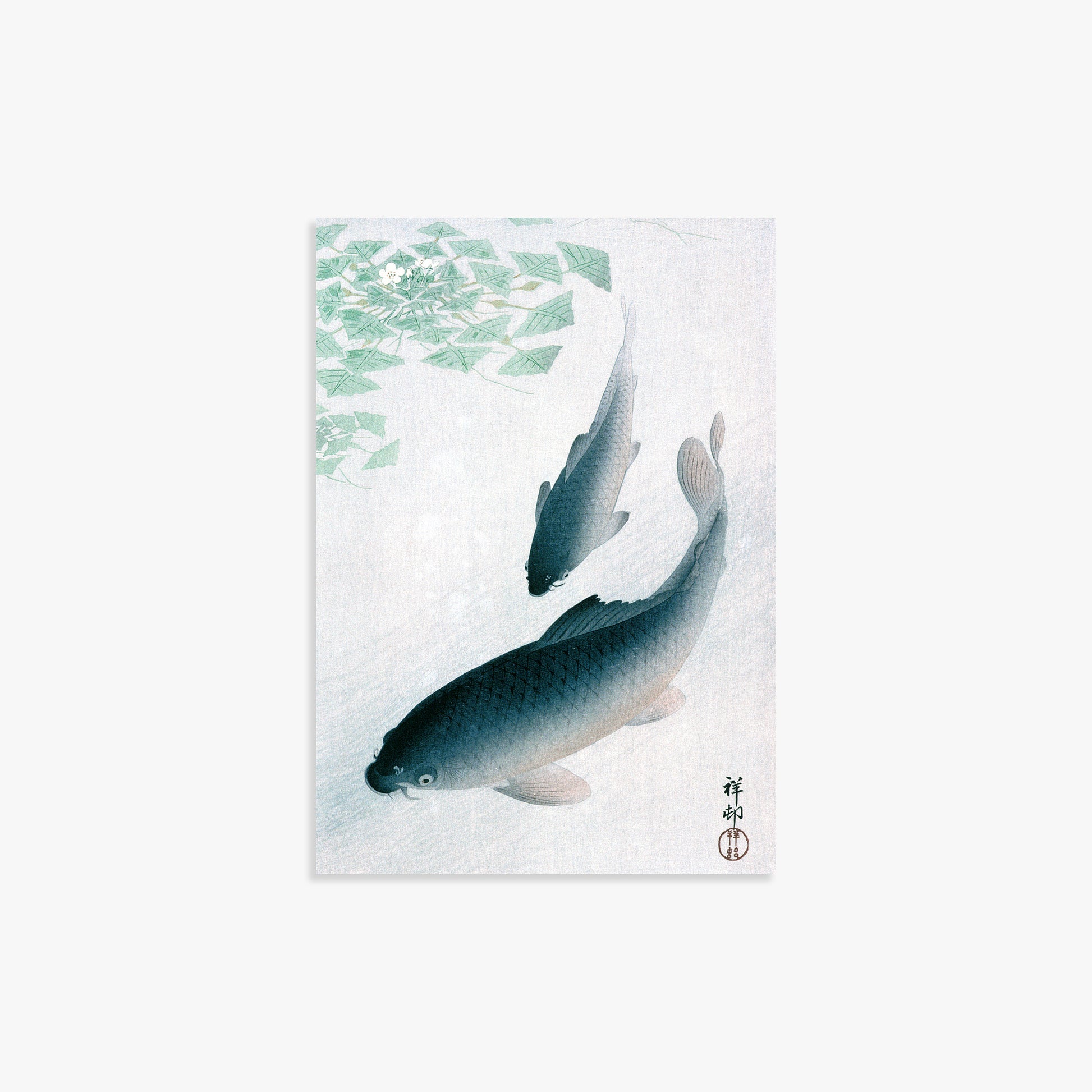 Ohara Koson: Carp or Koi, 21x30cm Art Reproduction Unframed
