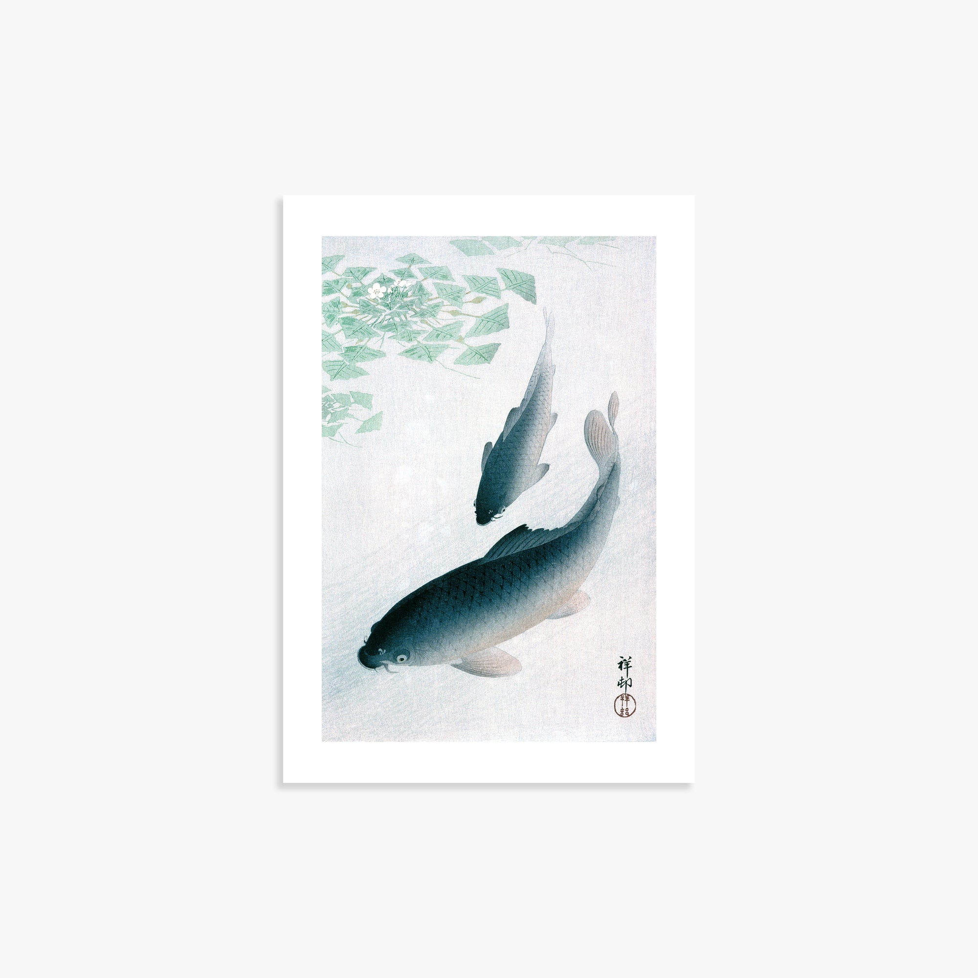 Ohara Koson: Carp or Koi, 21x30cm Art Reproduction Unframed