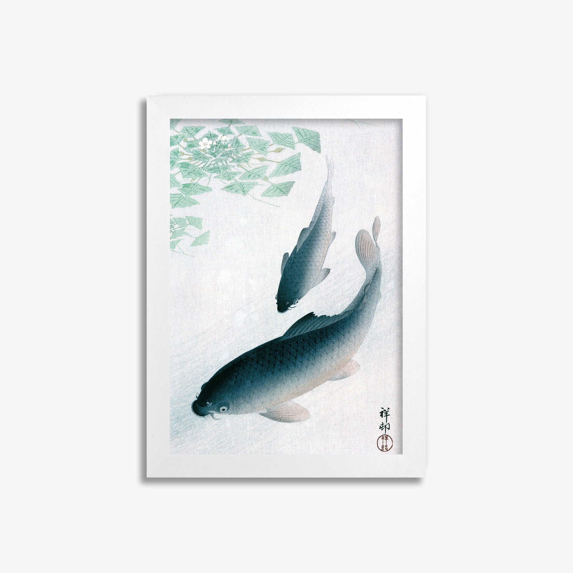 Ohara Koson: Carp or Koi, 21x30cm Framed Art Reproduction With White Frame