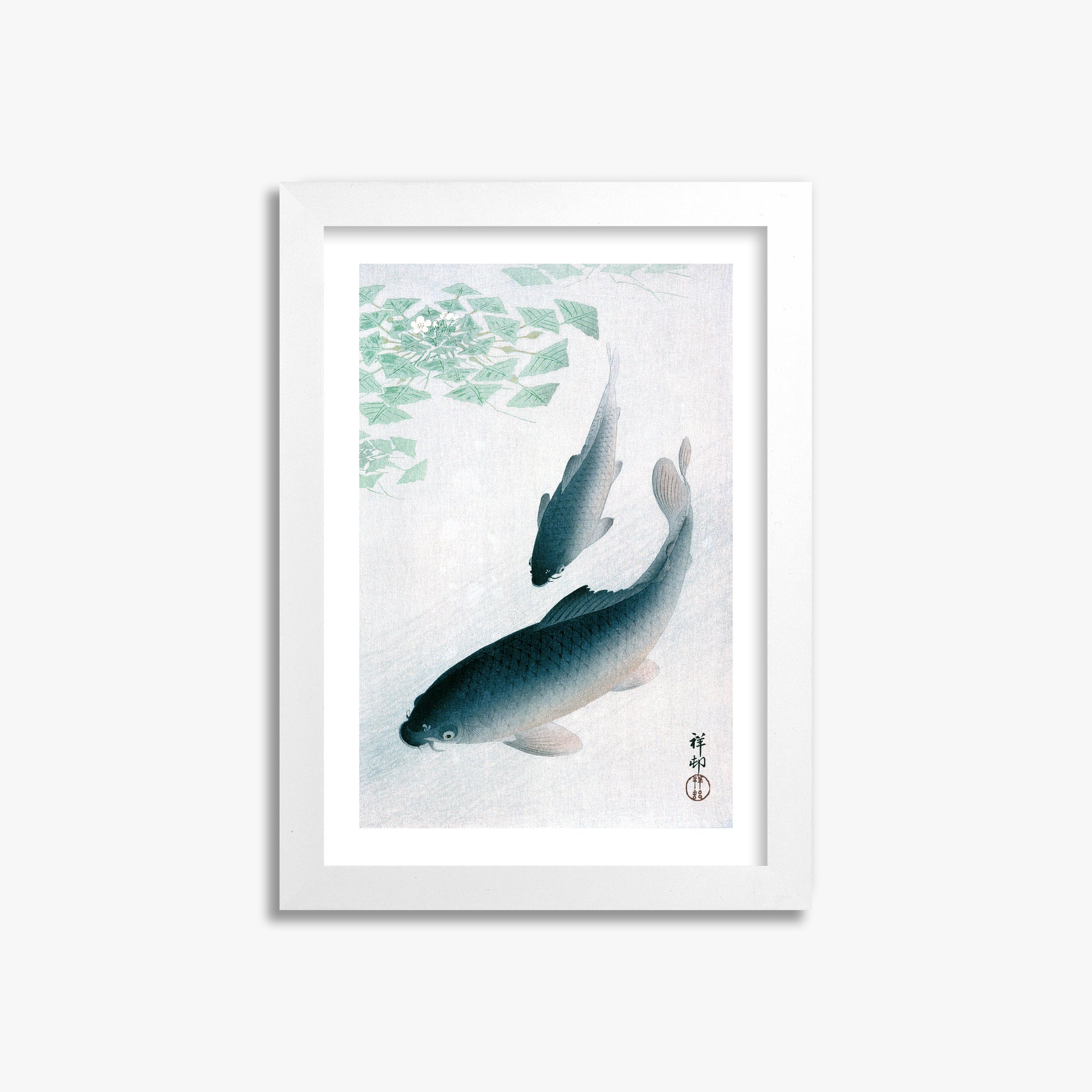 Ohara Koson: Carp or Koi, 21x30cm Framed Art Reproduction With White Frame