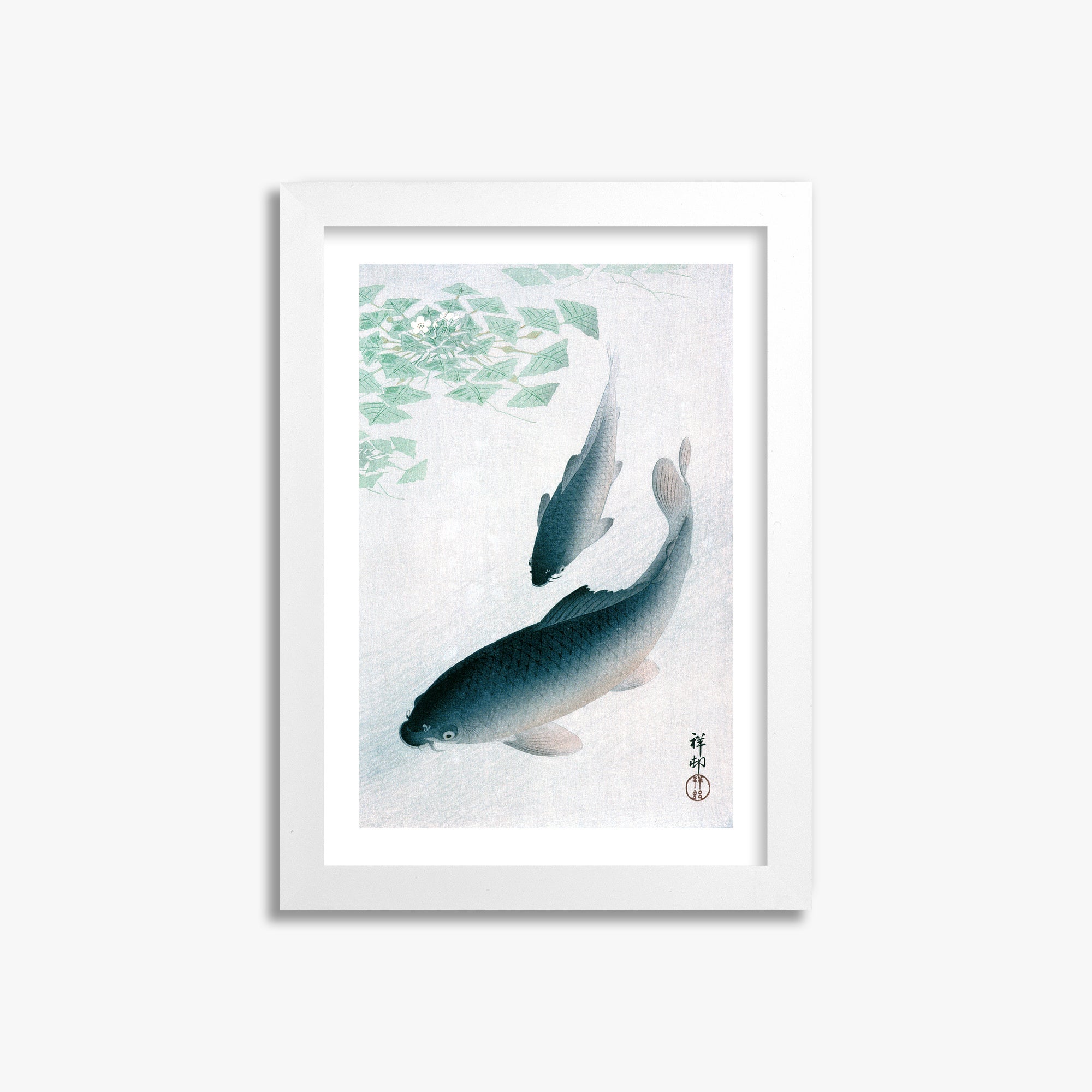 Ohara Koson: Carp or Koi, 21x30cm Framed Art Reproduction With White Frame