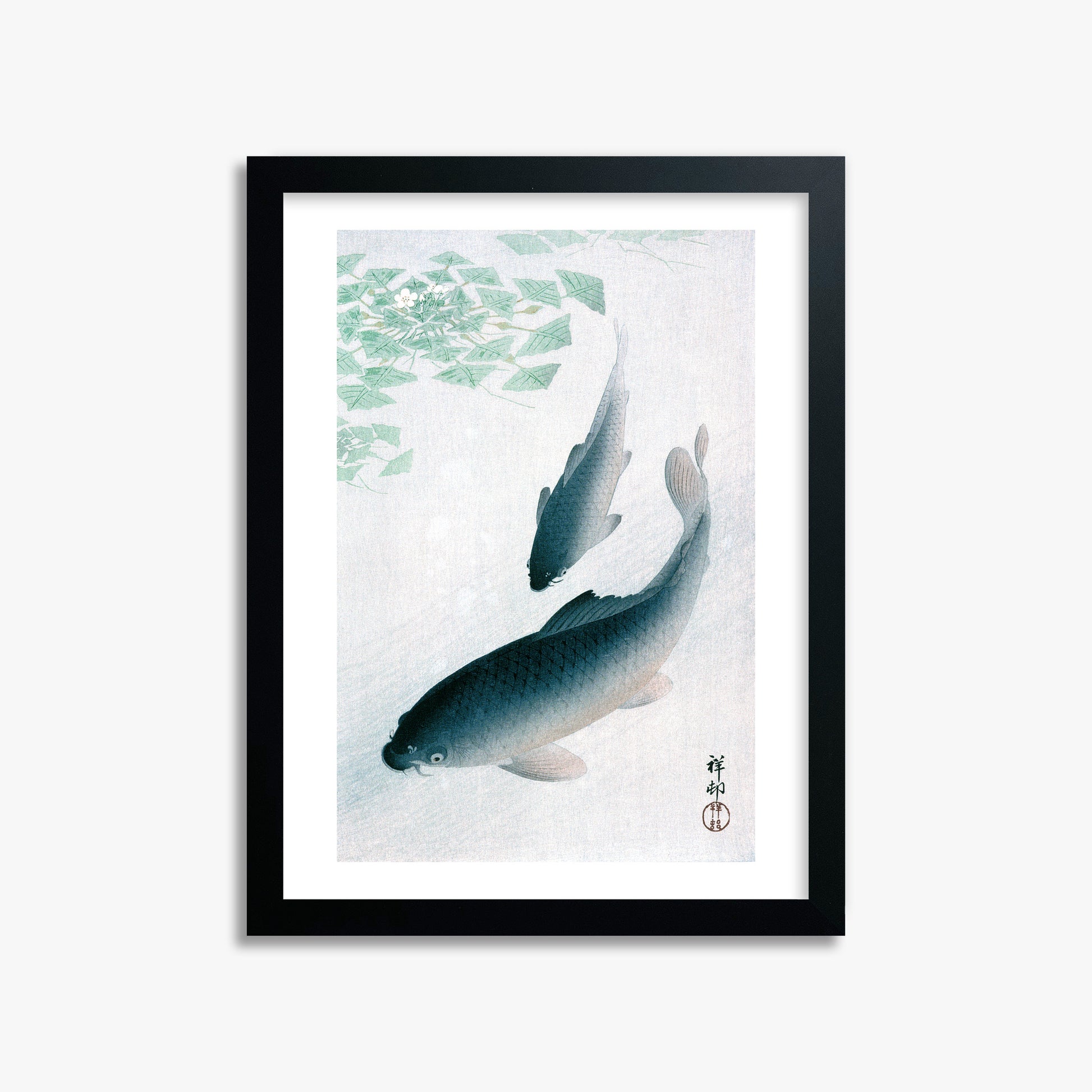 Ohara Koson: Carp or Koi, 30x40cm Framed Art Reproduction With Black Frame