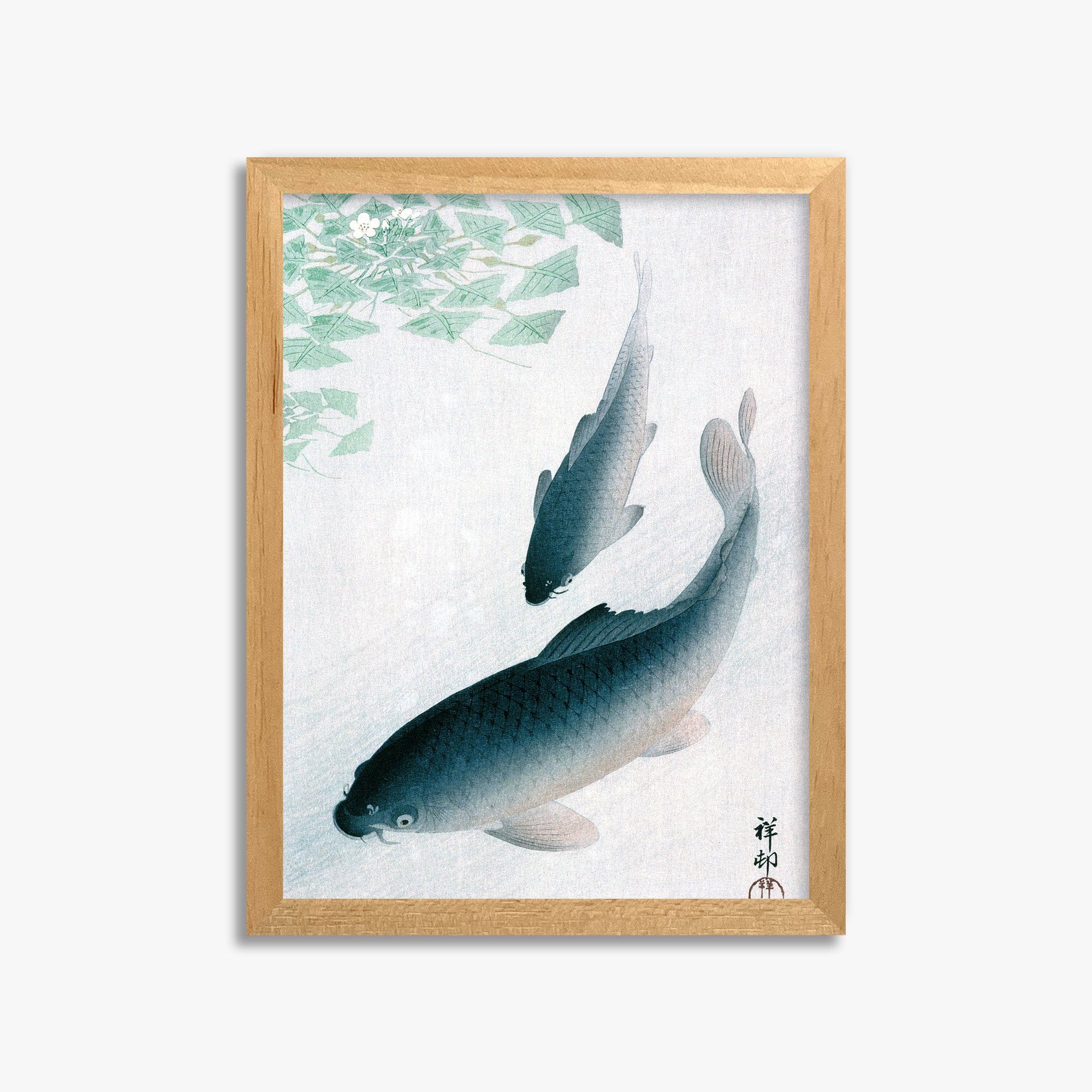 Ohara Koson: Carp or Koi, 30x40cm Framed Art Reproduction With Oak Frame