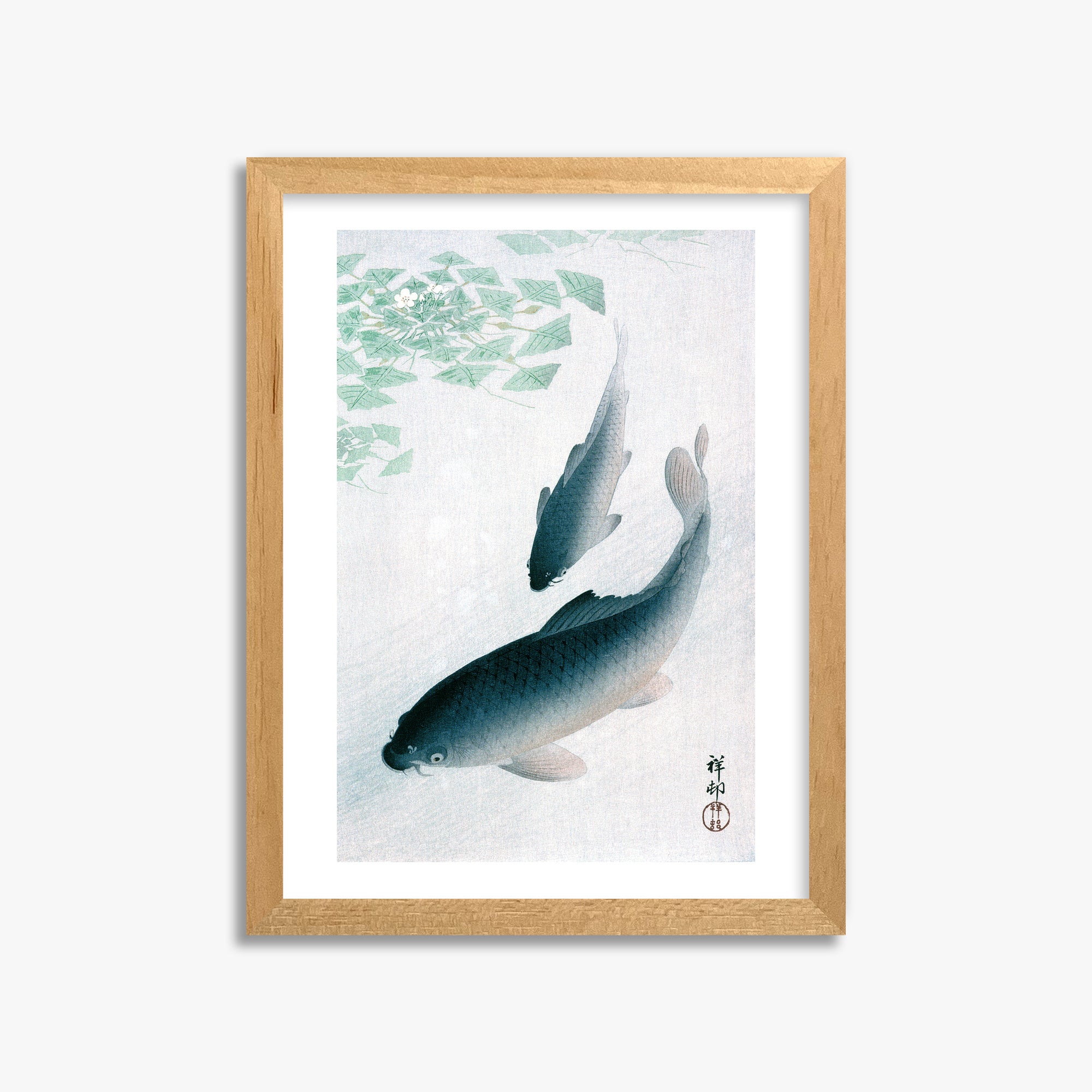 Ohara Koson: Carp or Koi, 30x40cm Framed Art Reproduction With Oak Frame