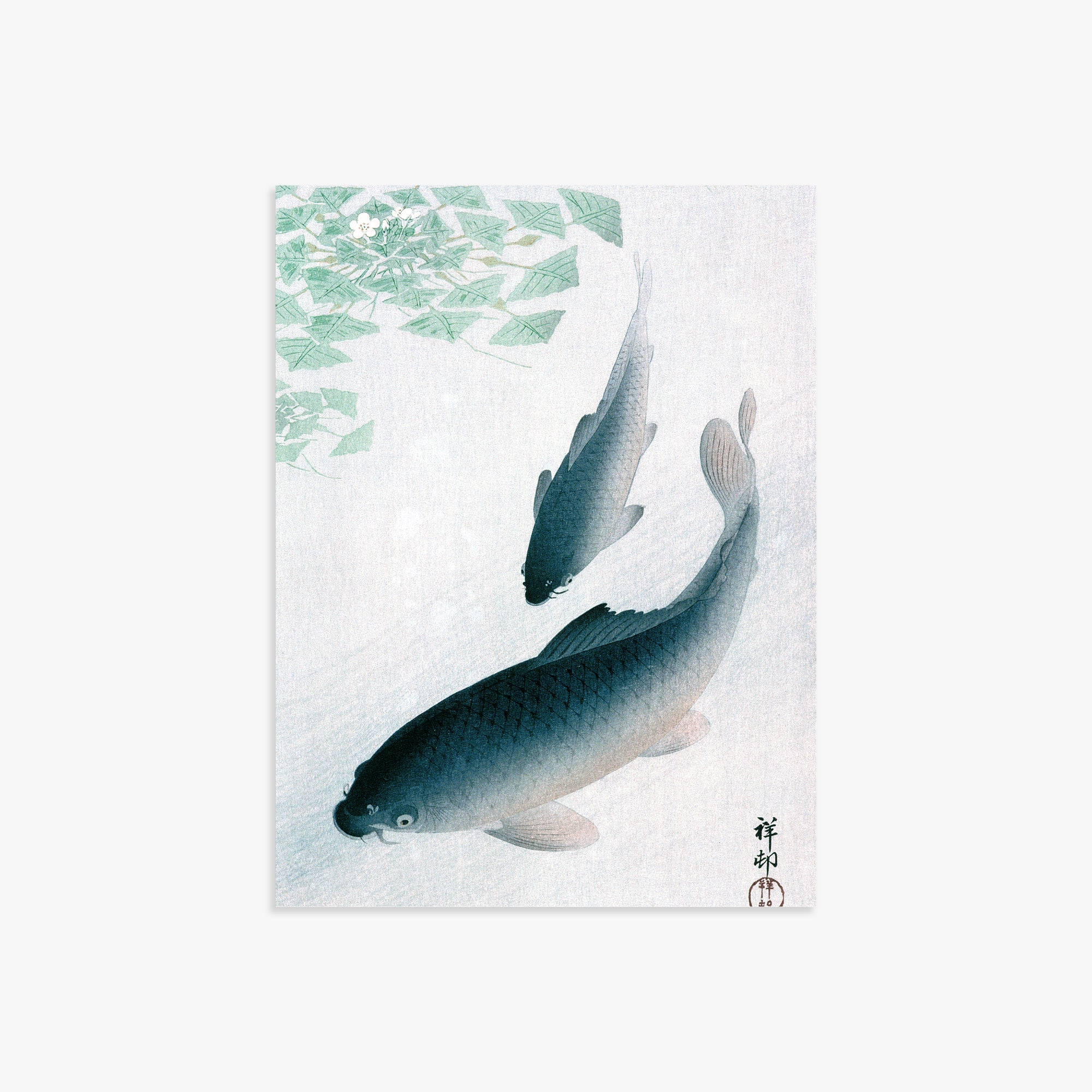 Ohara Koson: Carp or Koi, 30x40cm Art Reproduction Unframed