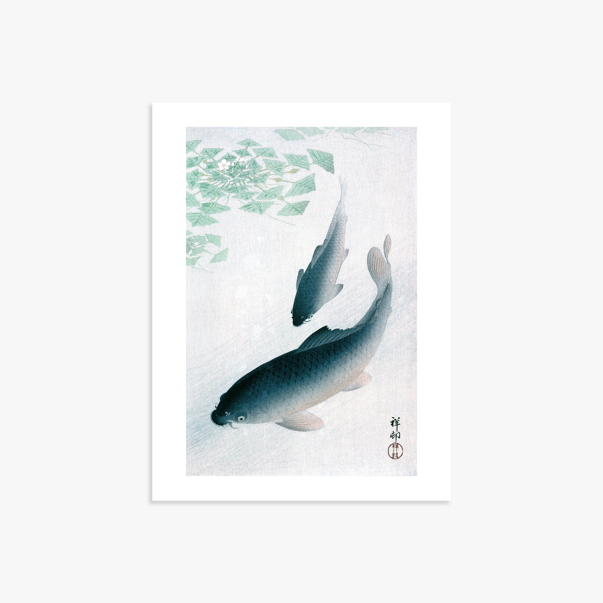 Ohara Koson: Carp or Koi, 30x40cm Art Reproduction Unframed