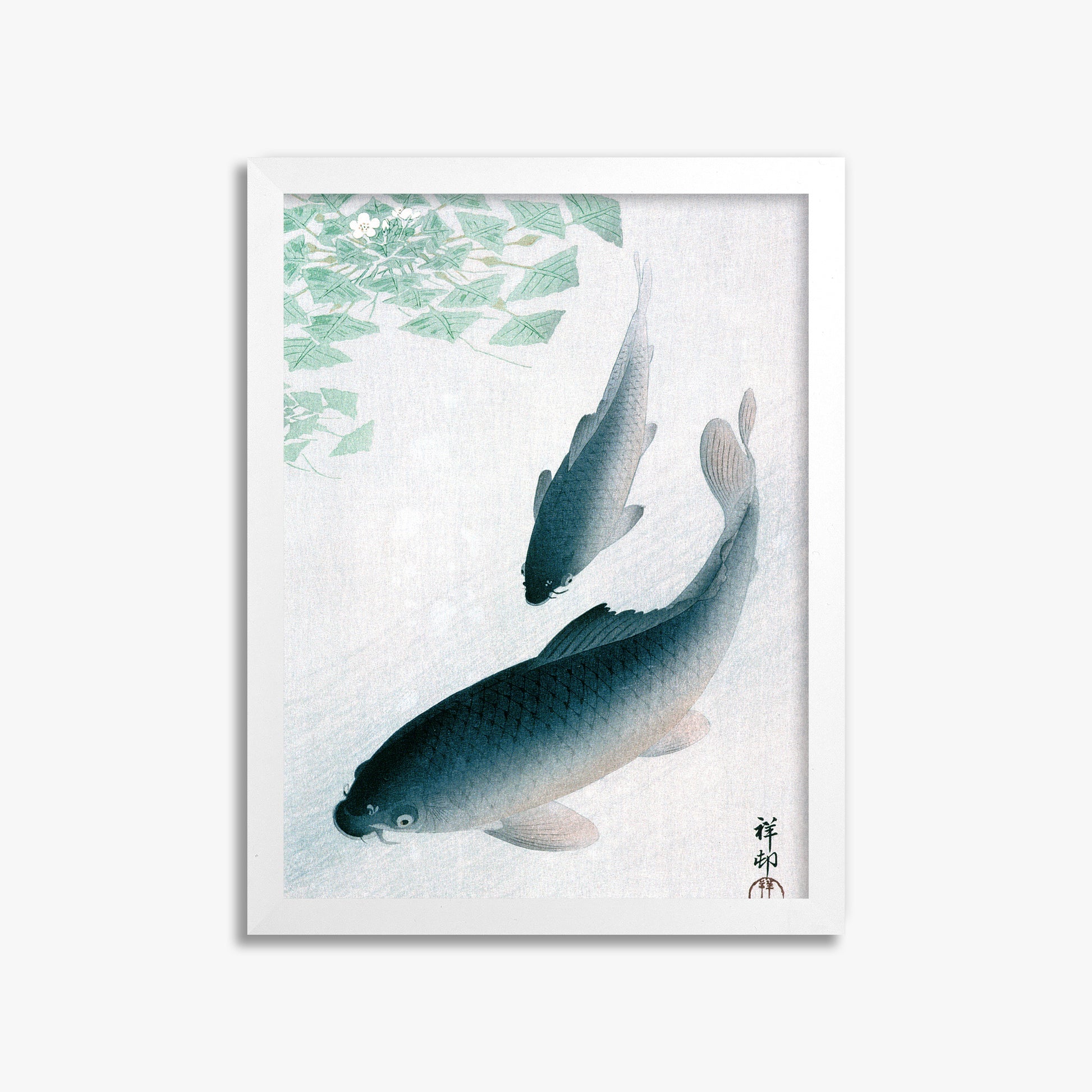Ohara Koson: Carp or Koi, 30x40cm Framed Art Reproduction With White Frame