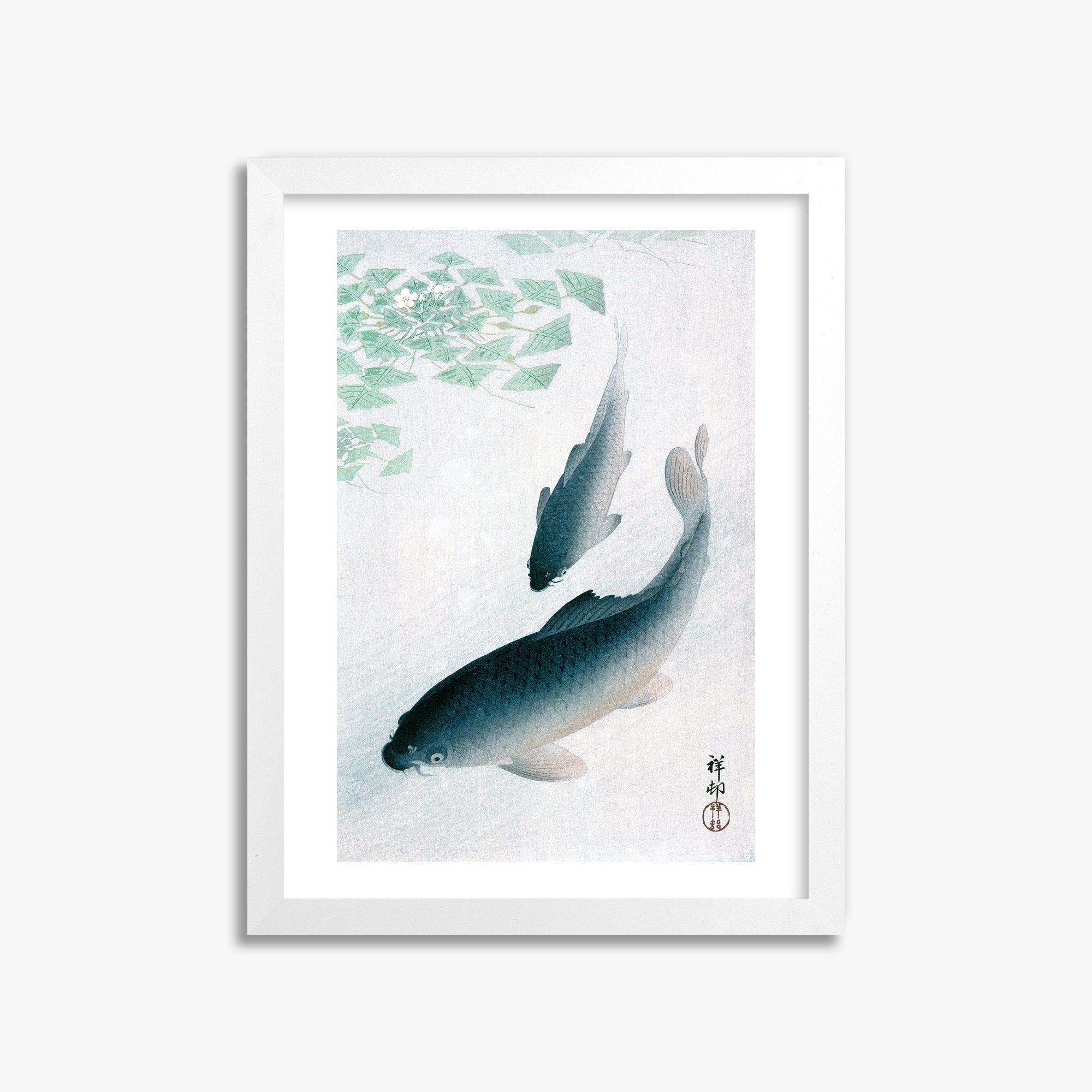 Ohara Koson: Carp or Koi, 30x40cm Framed Art Reproduction With White Frame