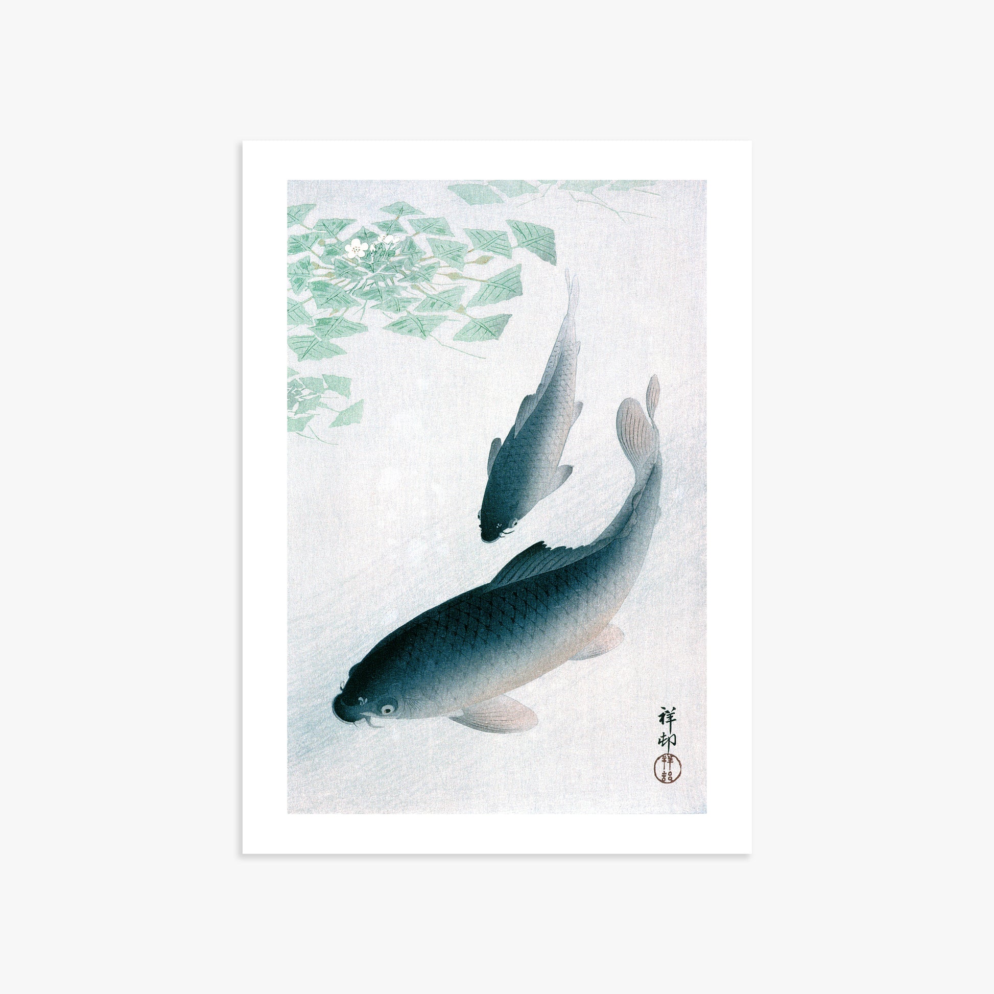 Ohara Koson: Carp or Koi, 50x70cm Art Reproduction Unframed