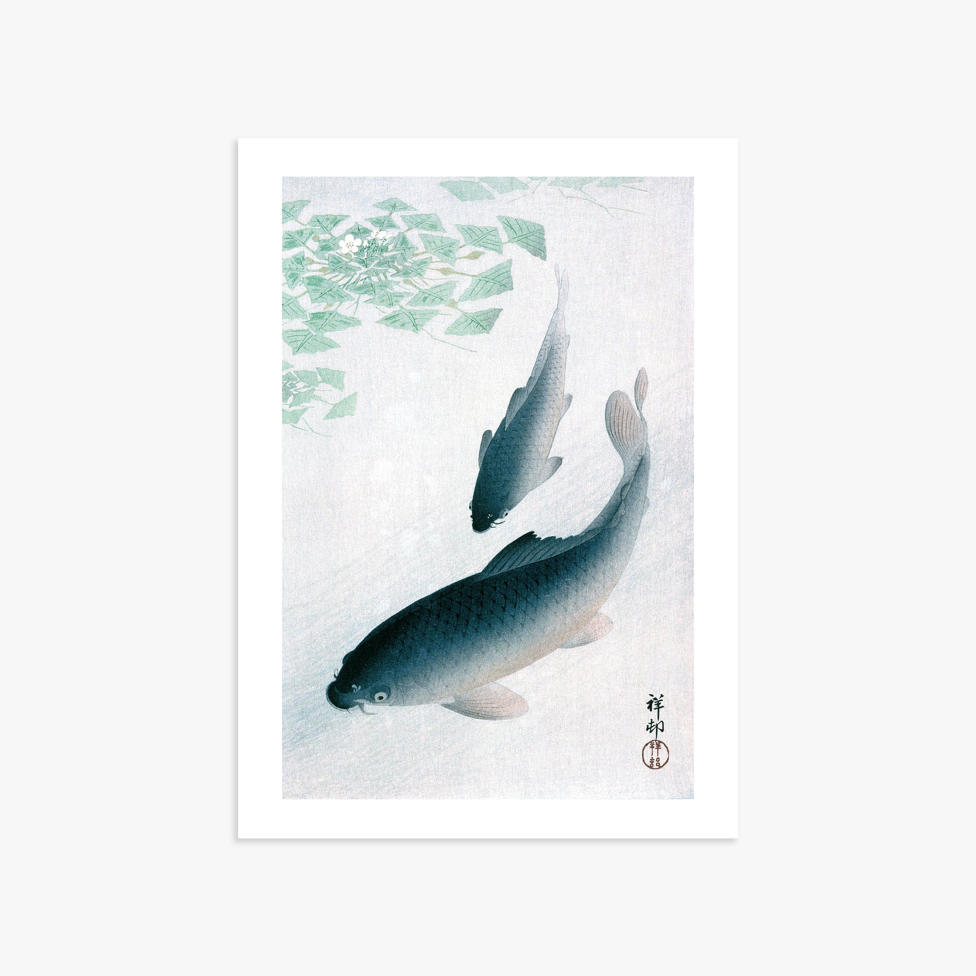 Ohara Koson: Carp or Koi, 50x70cm Art Reproduction Unframed