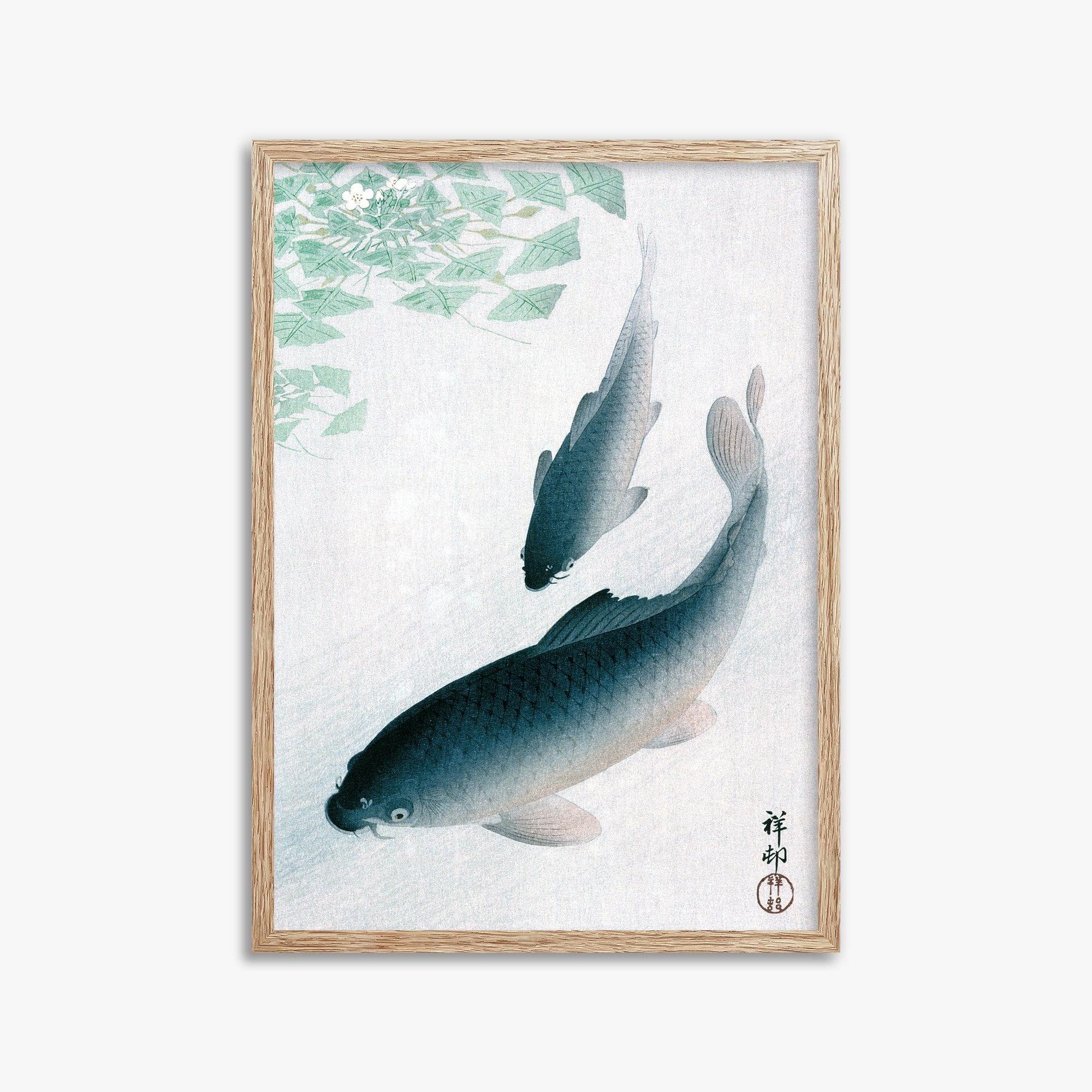 Ohara Koson: Carp or Koi, 50x70cm Framed Art Reproduction With Raw Oak Frame