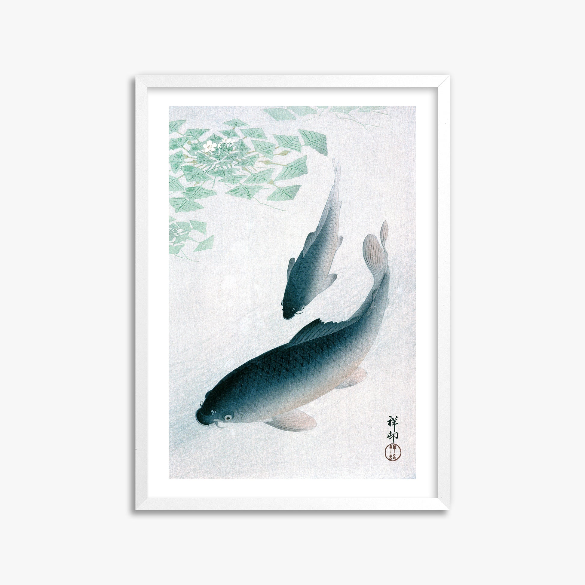 Ohara Koson: Carp or Koi, 50x70cm Framed Art Reproduction With White Frame