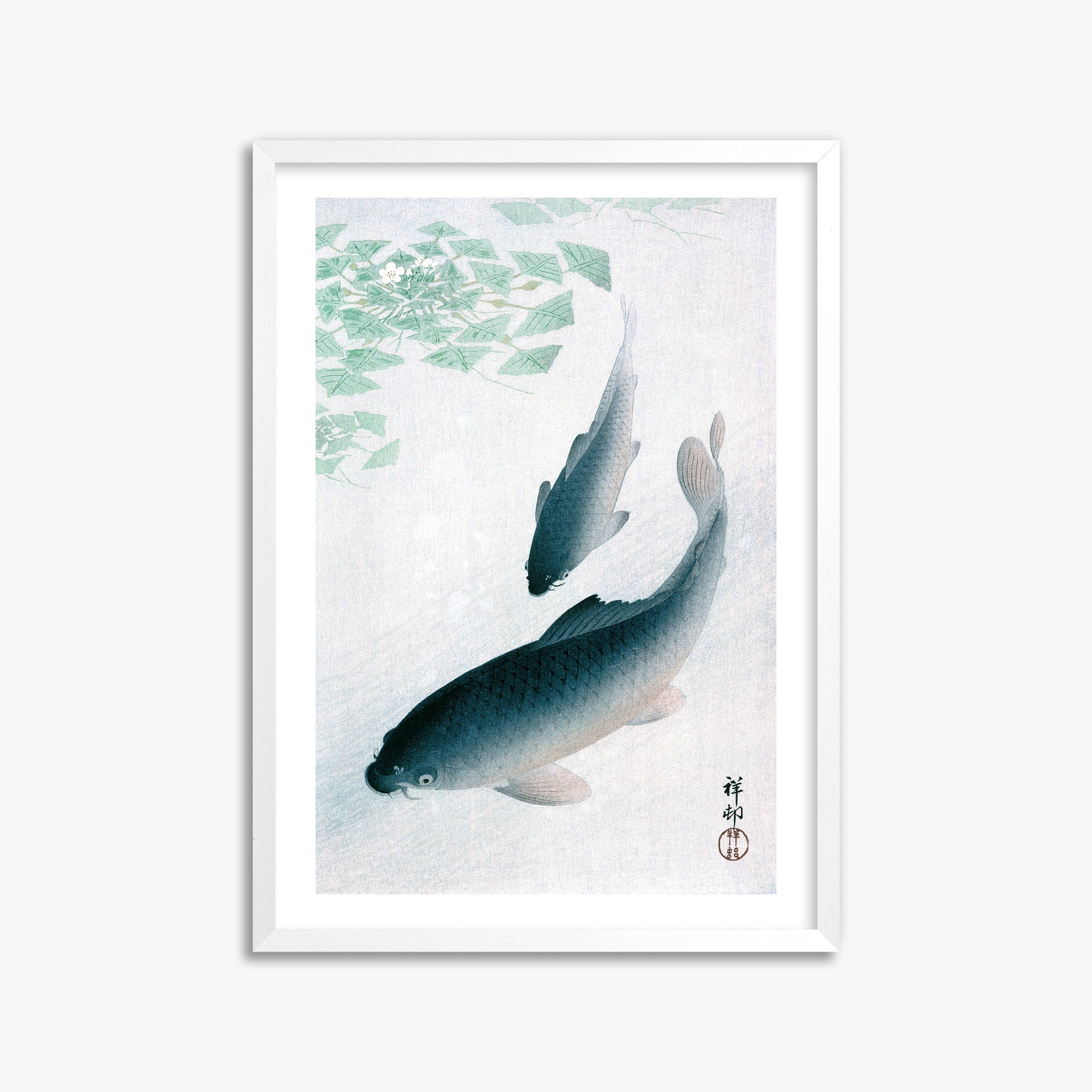 Ohara Koson: Carp or Koi, 50x70cm Framed Art Reproduction With White Frame