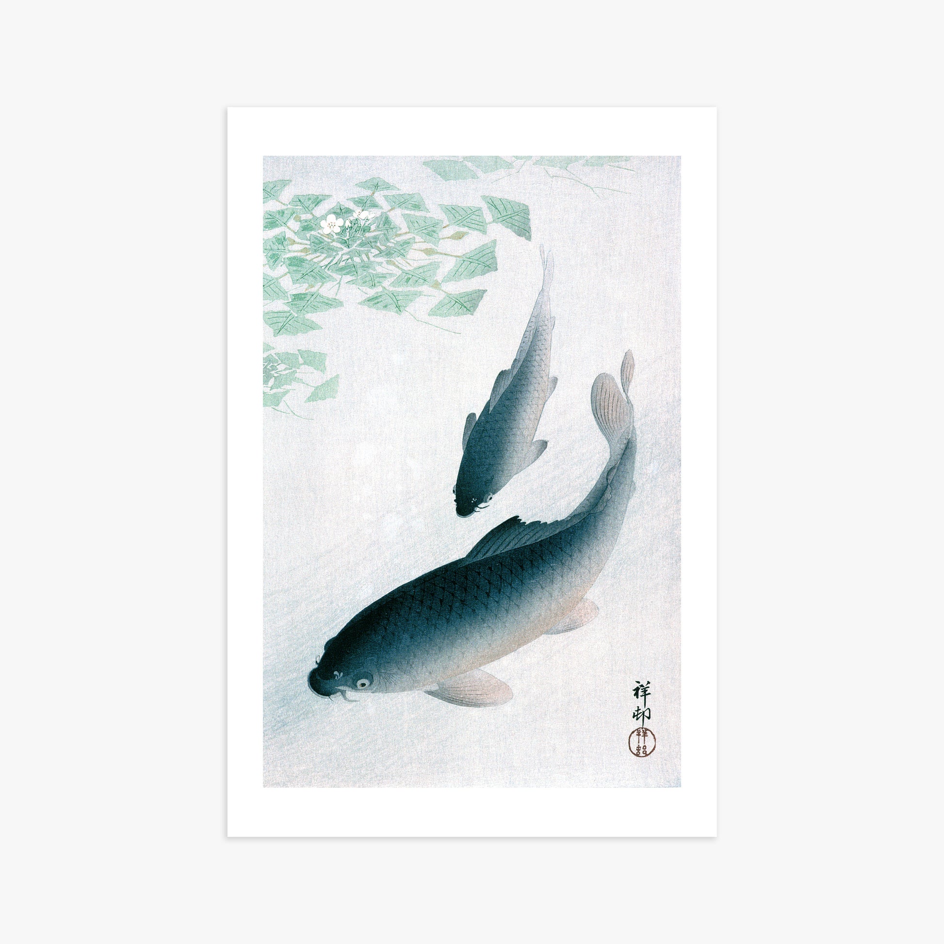 Ohara Koson: Carp or Koi, 61x91cm Art Reproduction Unframed