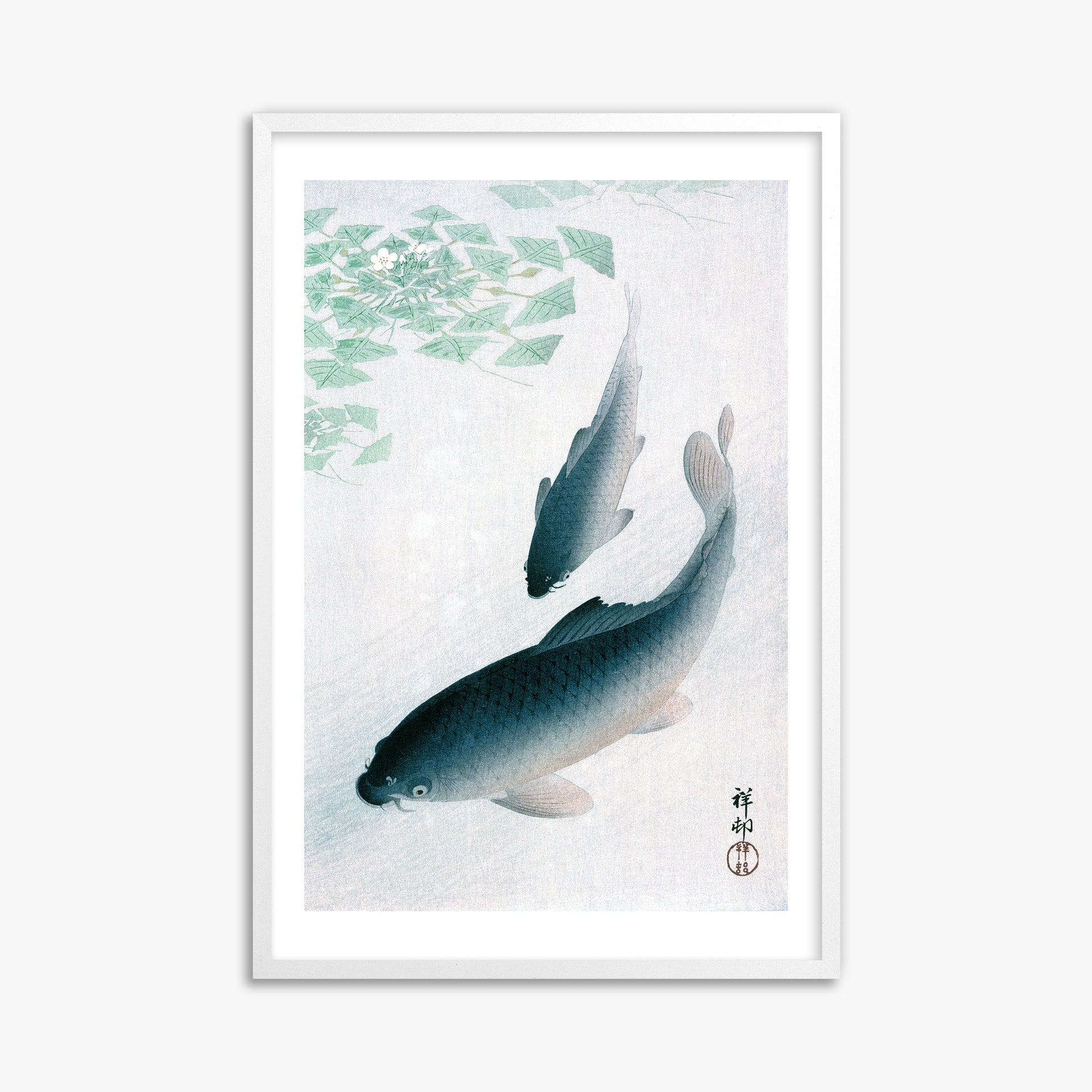 Ohara Koson: Carp or Koi, 61x91cm Framed Art Reproduction With White Frame
