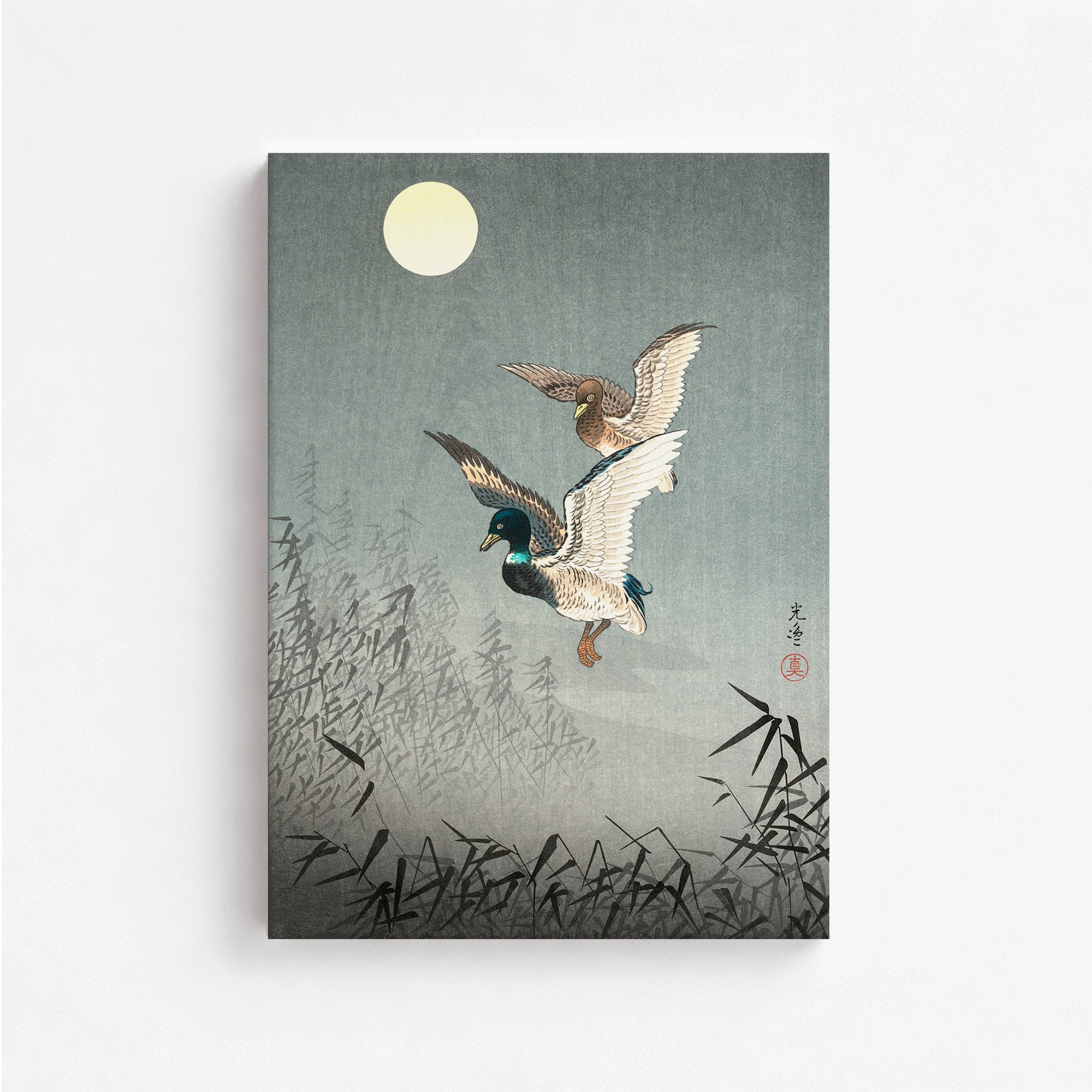 Tokyo Views: Enten