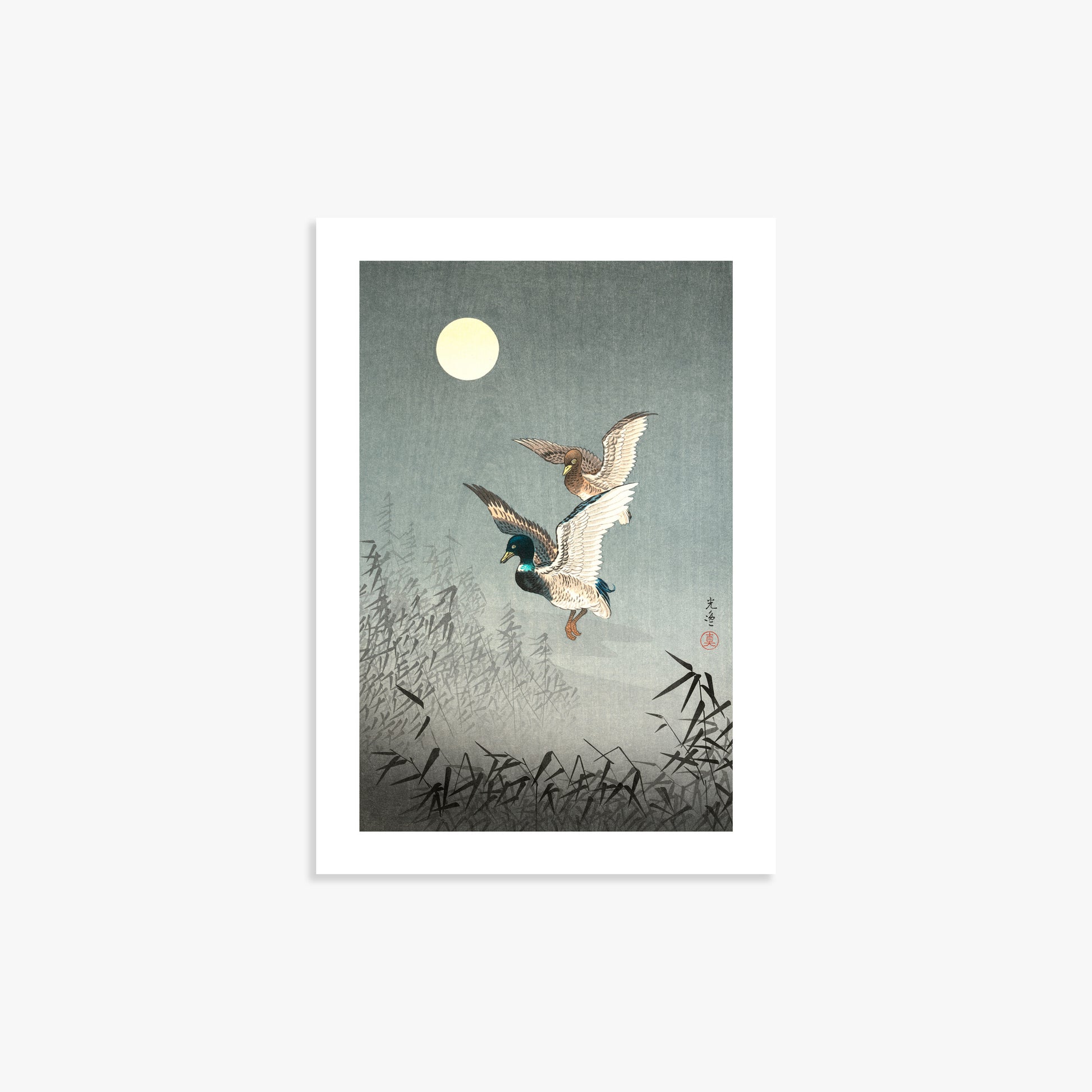 Tsuchiya Koitsu: Tokyo Views: Ducks 21x30 cm Art Reproduction With White Margin