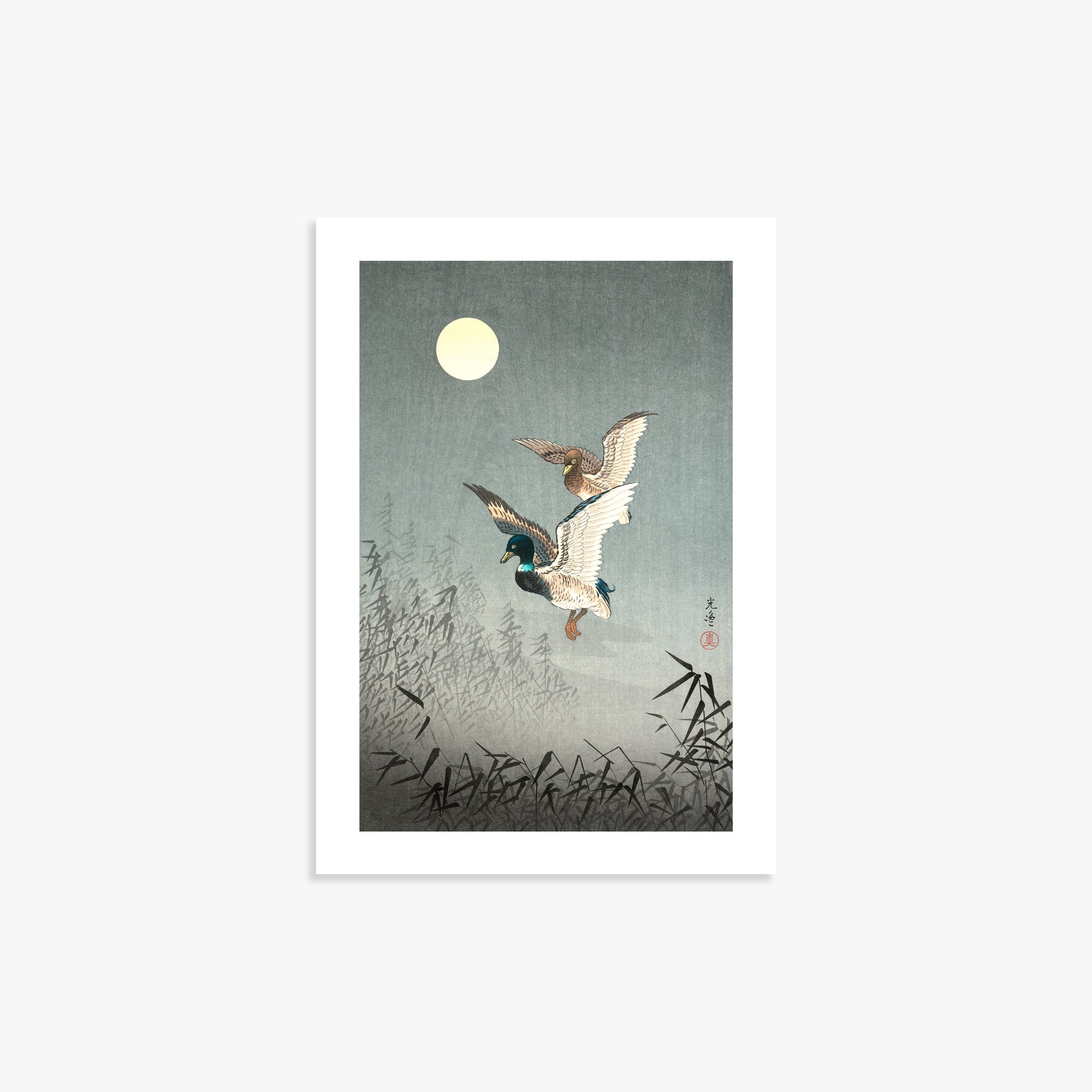 Tsuchiya Koitsu: Tokyo Views: Ducks 21x30 cm Art Reproduction With White Margin