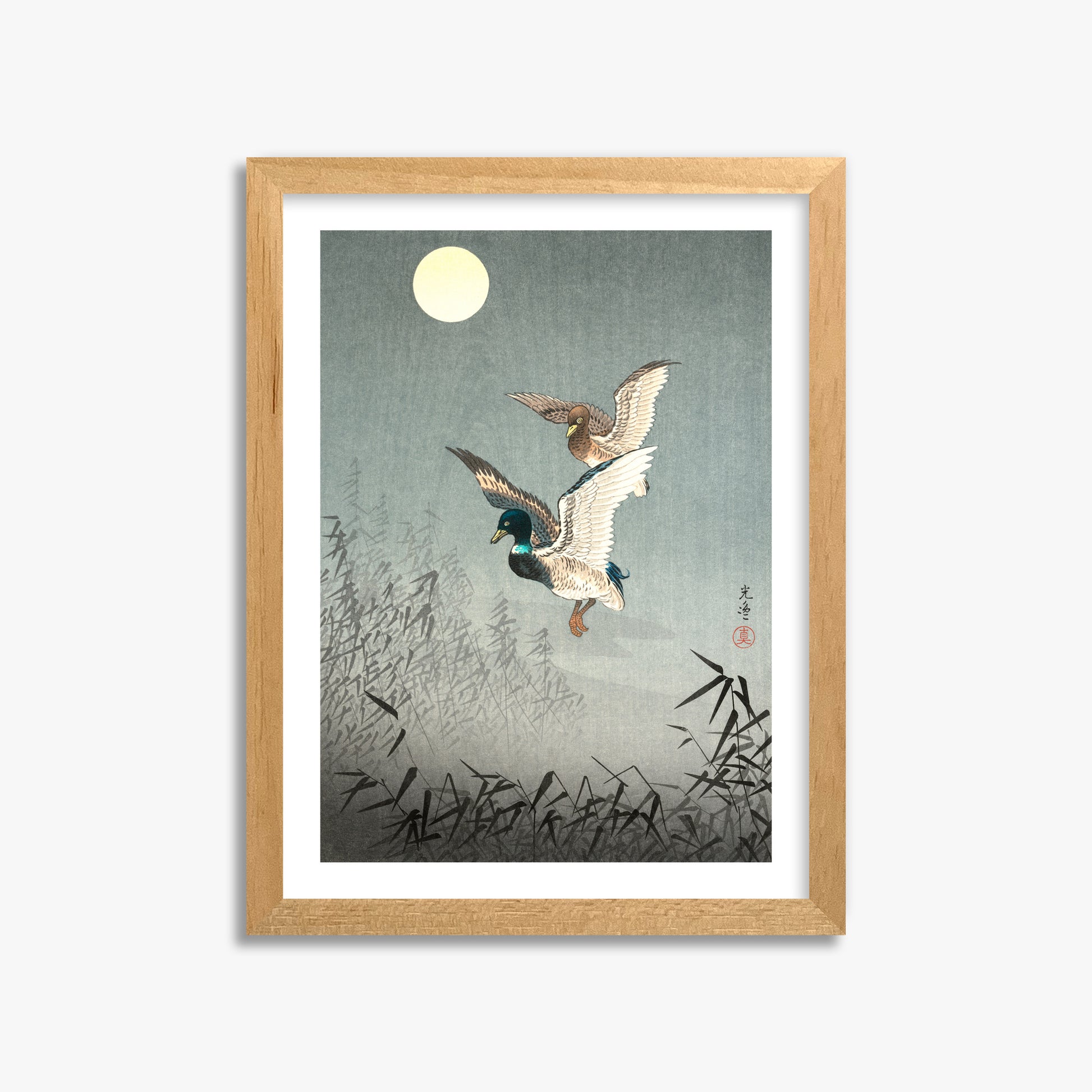 Tsuchiya Koitsu: Tokyo Views: Ducks 30x40 cm Art Reproduction With White Margin