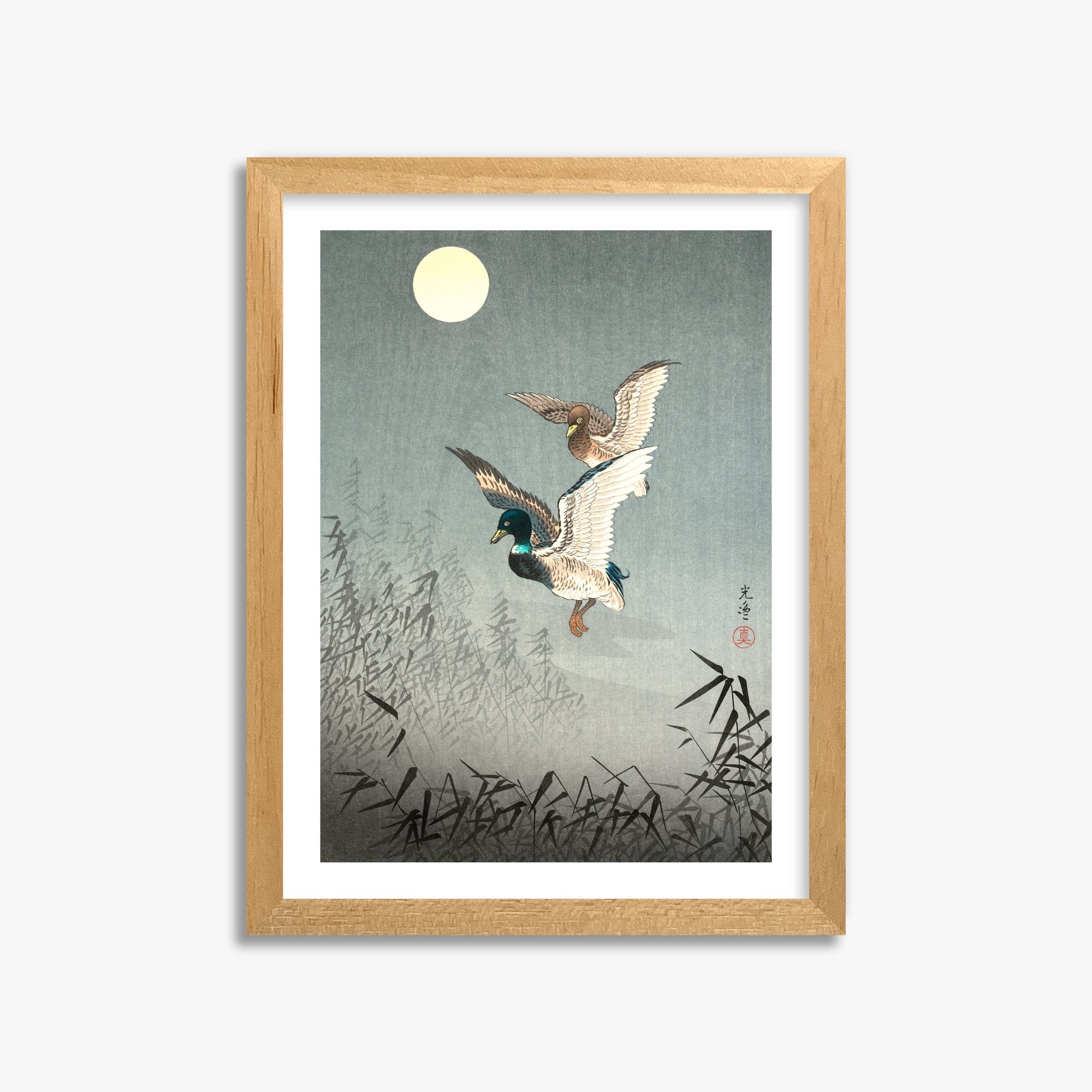 Tsuchiya Koitsu: Tokyo Views: Ducks 30x40 cm Art Reproduction With White Margin