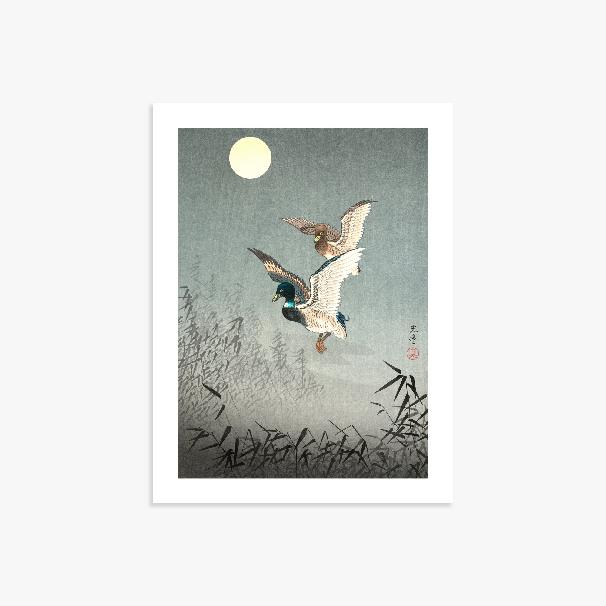 Tsuchiya Koitsu: Tokyo Views: Ducks 30x40 cm Art Reproduction With White Margin