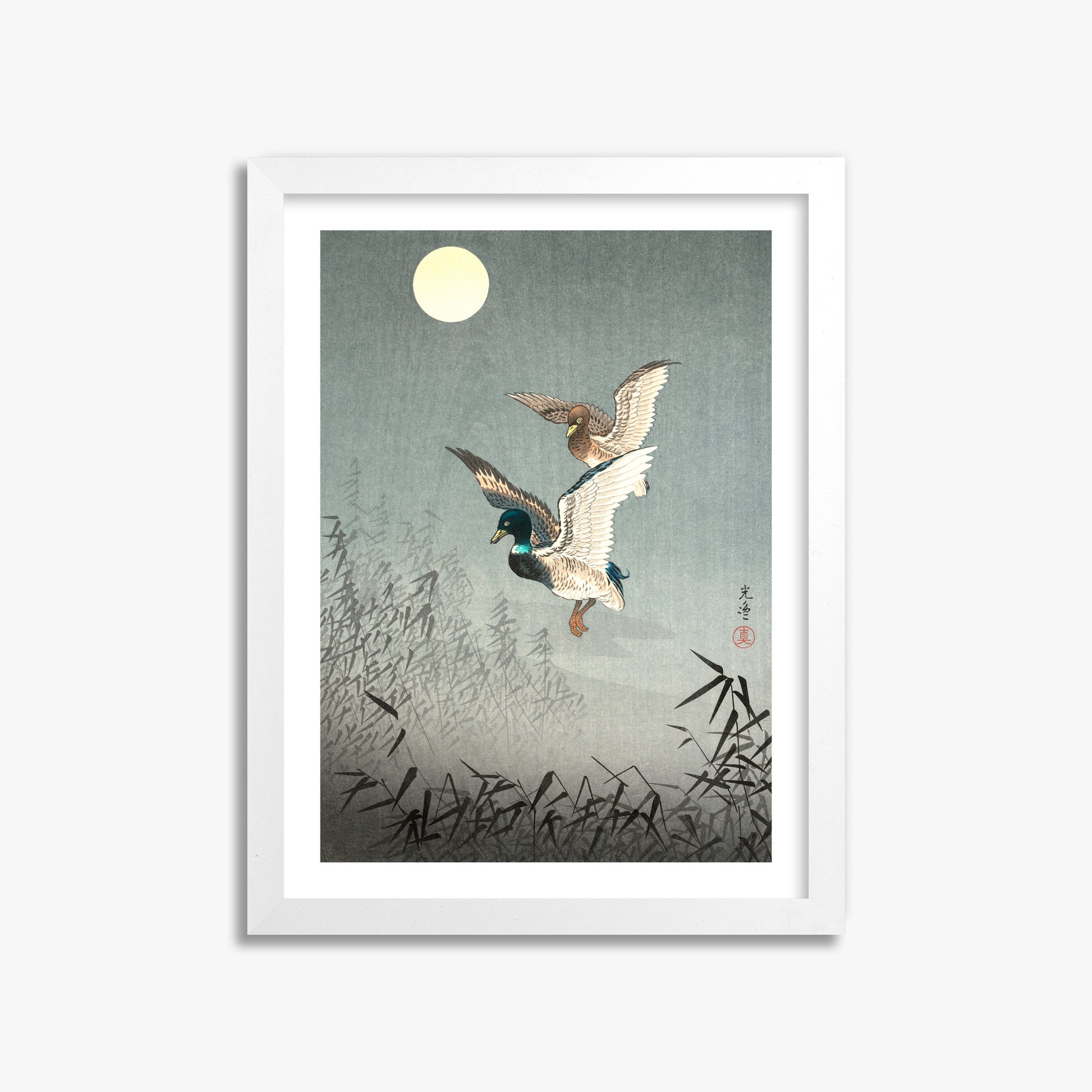Tsuchiya Koitsu: Tokyo Views: Ducks 30x40 cm Art Reproduction With White Margin