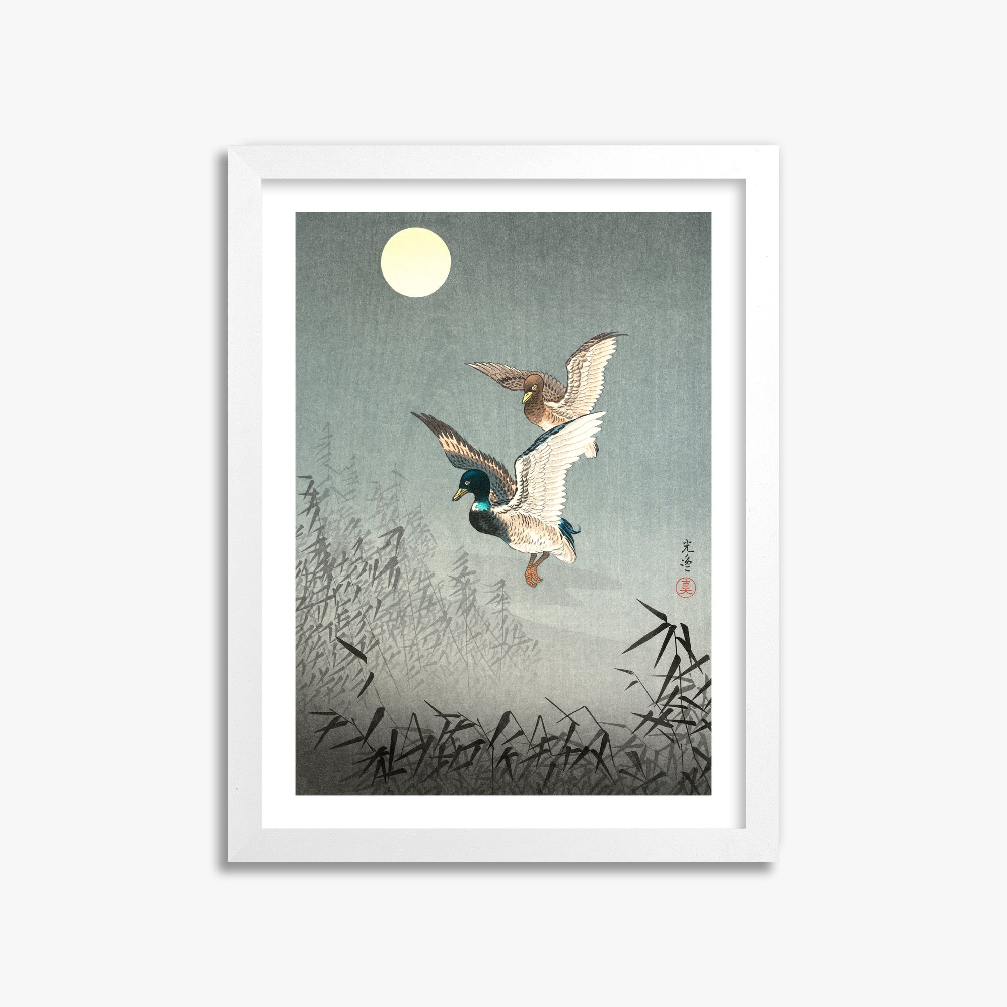 Tsuchiya Koitsu: Tokyo Views: Ducks 30x40 cm Art Reproduction With White Margin