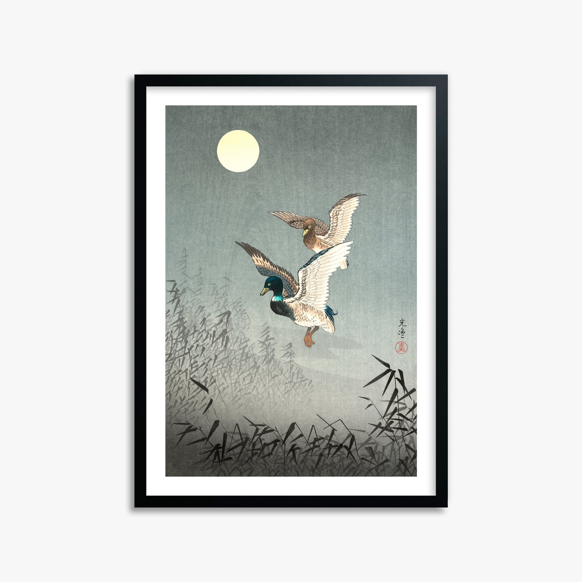 Tsuchiya Koitsu: Tokyo Views: Ducks 50x70 cm Art Reproduction With White Margin