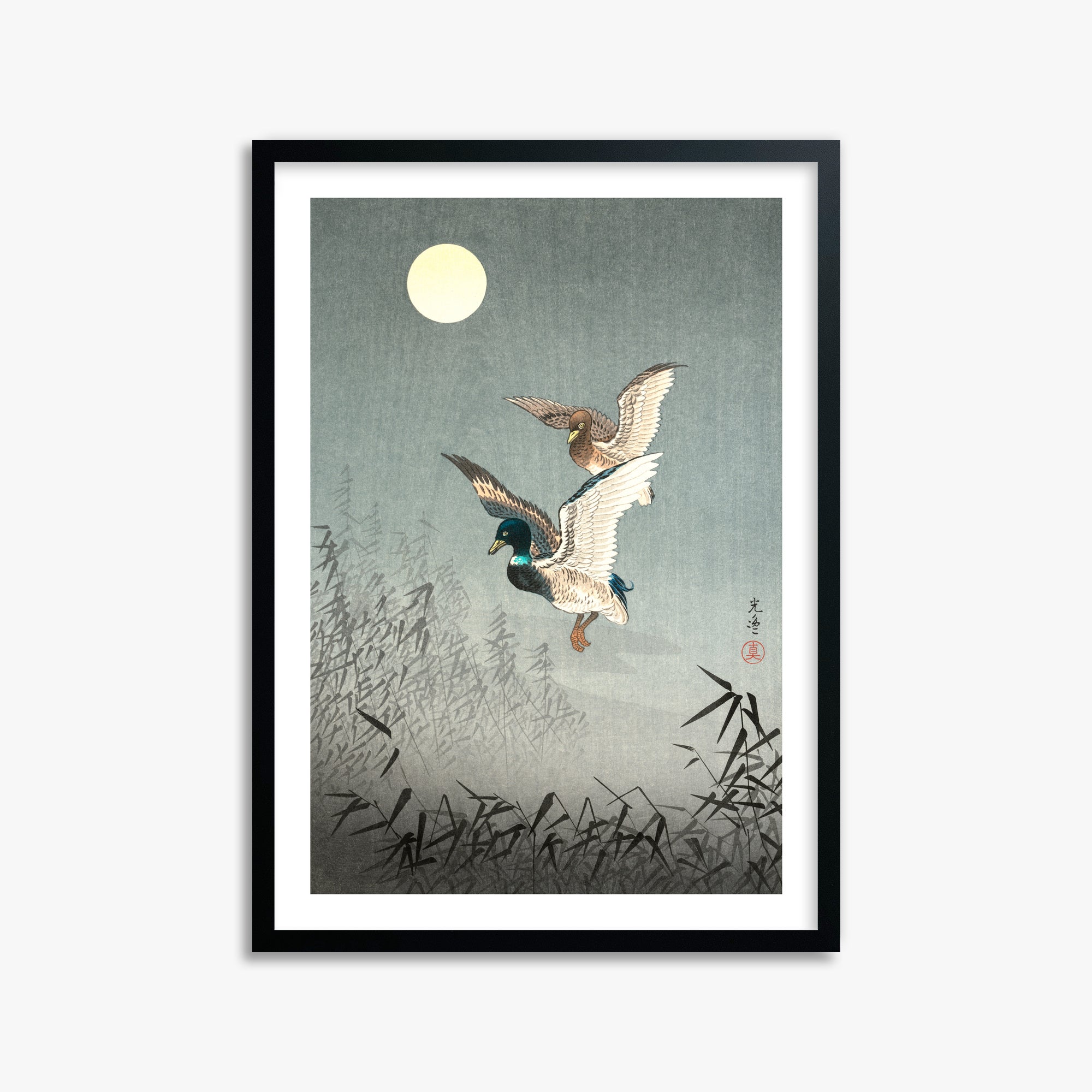 Tsuchiya Koitsu: Tokyo Views: Ducks 50x70 cm Art Reproduction With White Margin