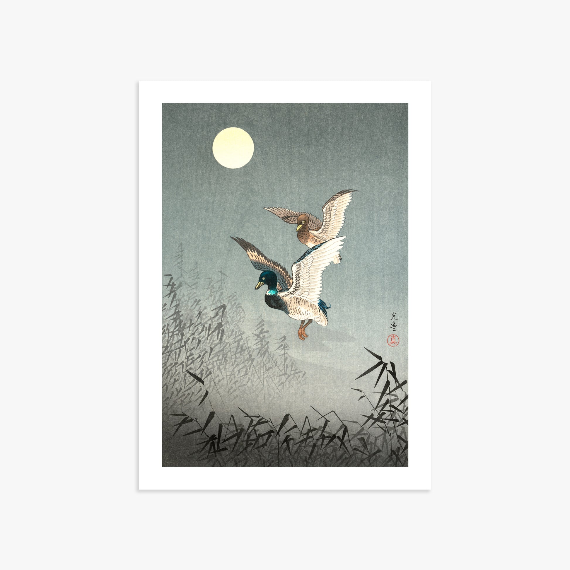 Tsuchiya Koitsu: Tokyo Views: Ducks 50x70 cm Art Reproduction With White Margin