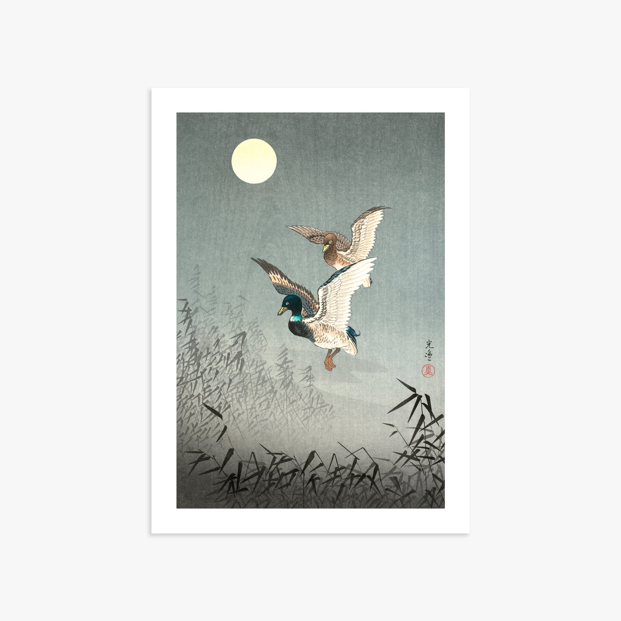 Tsuchiya Koitsu: Tokyo Views: Ducks 50x70 cm Art Reproduction With White Margin