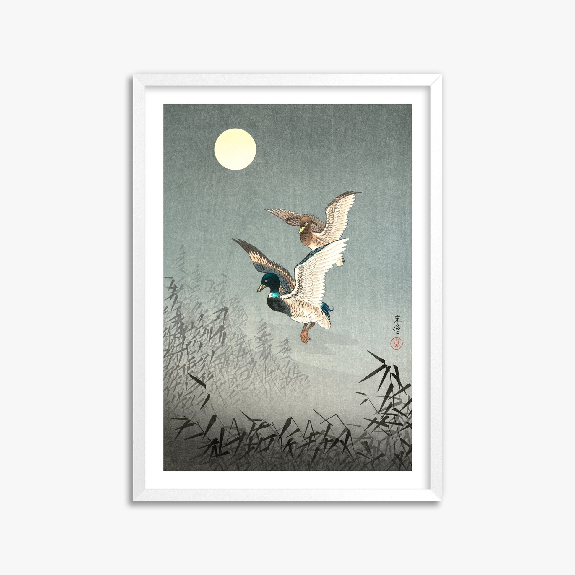 Tsuchiya Koitsu: Tokyo Views: Ducks 50x70 cm Art Reproduction With White Margin