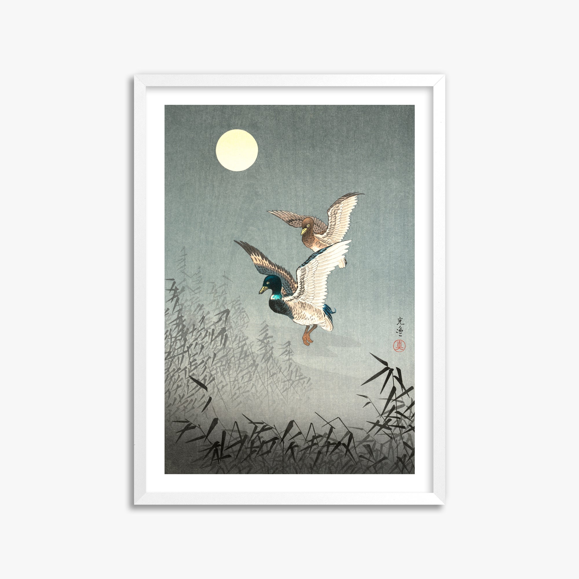 Tsuchiya Koitsu: Tokyo Views: Ducks 50x70 cm Art Reproduction With White Margin