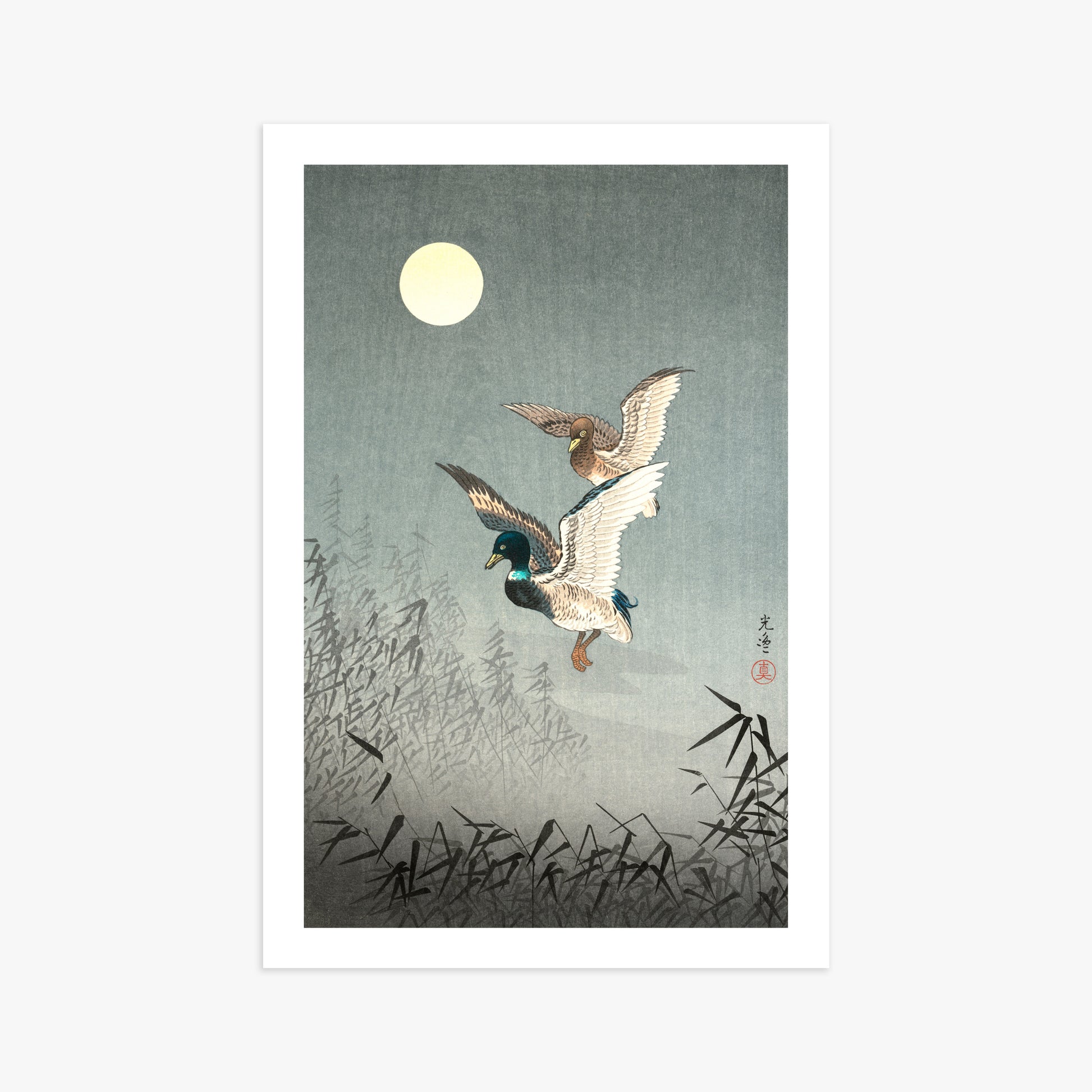 Tsuchiya Koitsu: Tokyo Views: Ducks 61x91 cm Art Reproduction With White Margin