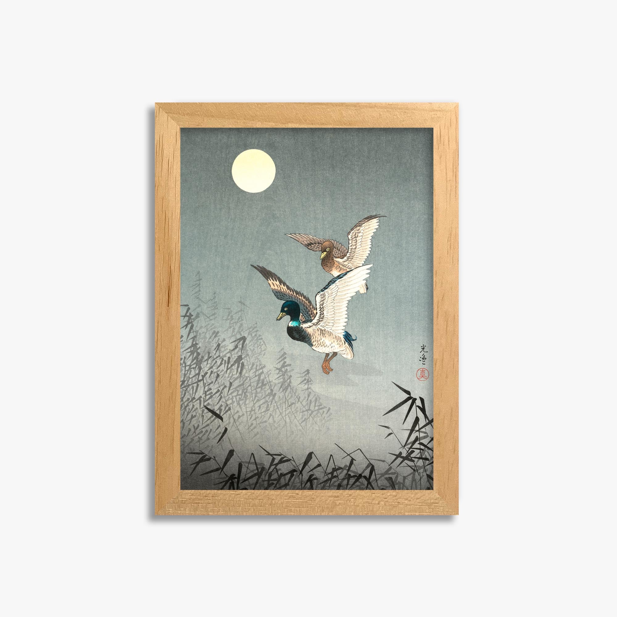 Tsuchiya Koitsu: Tokyo Views: Ducks 21x30 cm Art Reproduction With No Margin