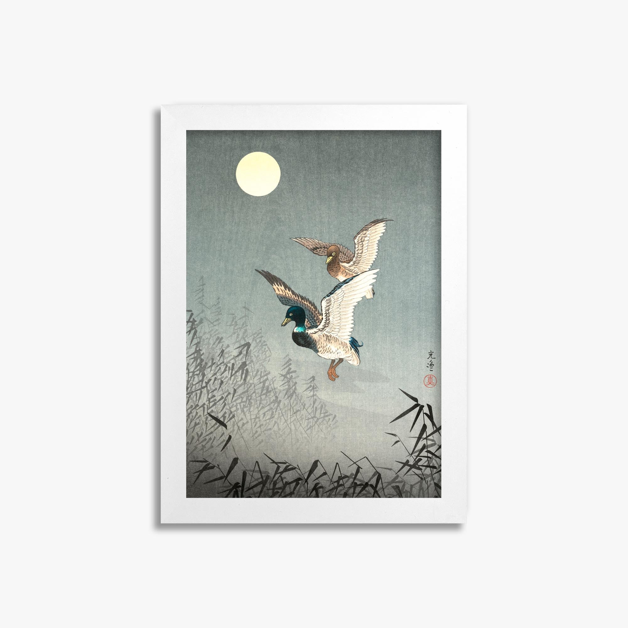 Tsuchiya Koitsu: Tokyo Views: Ducks 21x30 cm Art Reproduction With No Margin