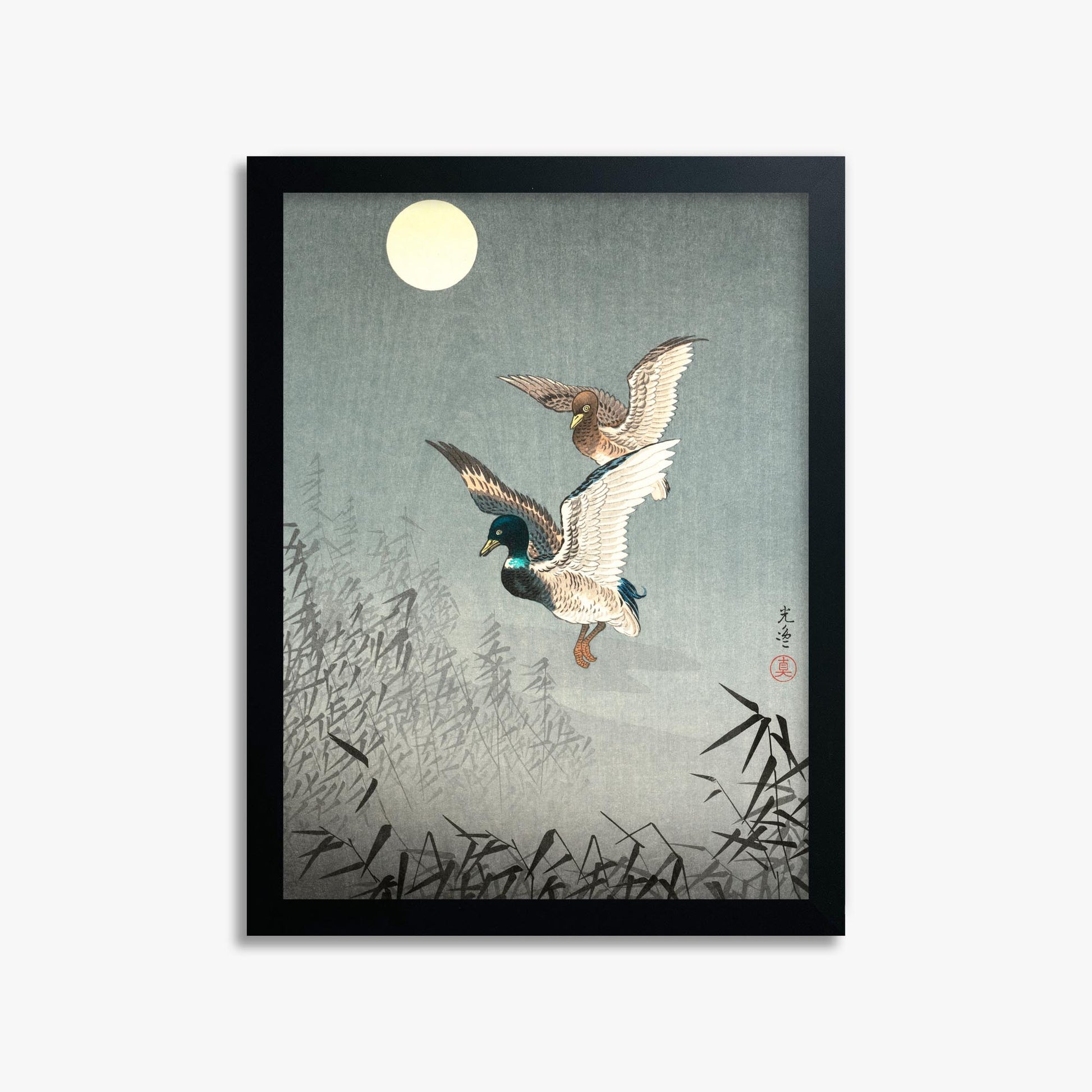 Tsuchiya Koitsu: Tokyo Views: Ducks 30x40 cm Art Reproduction With No Margin