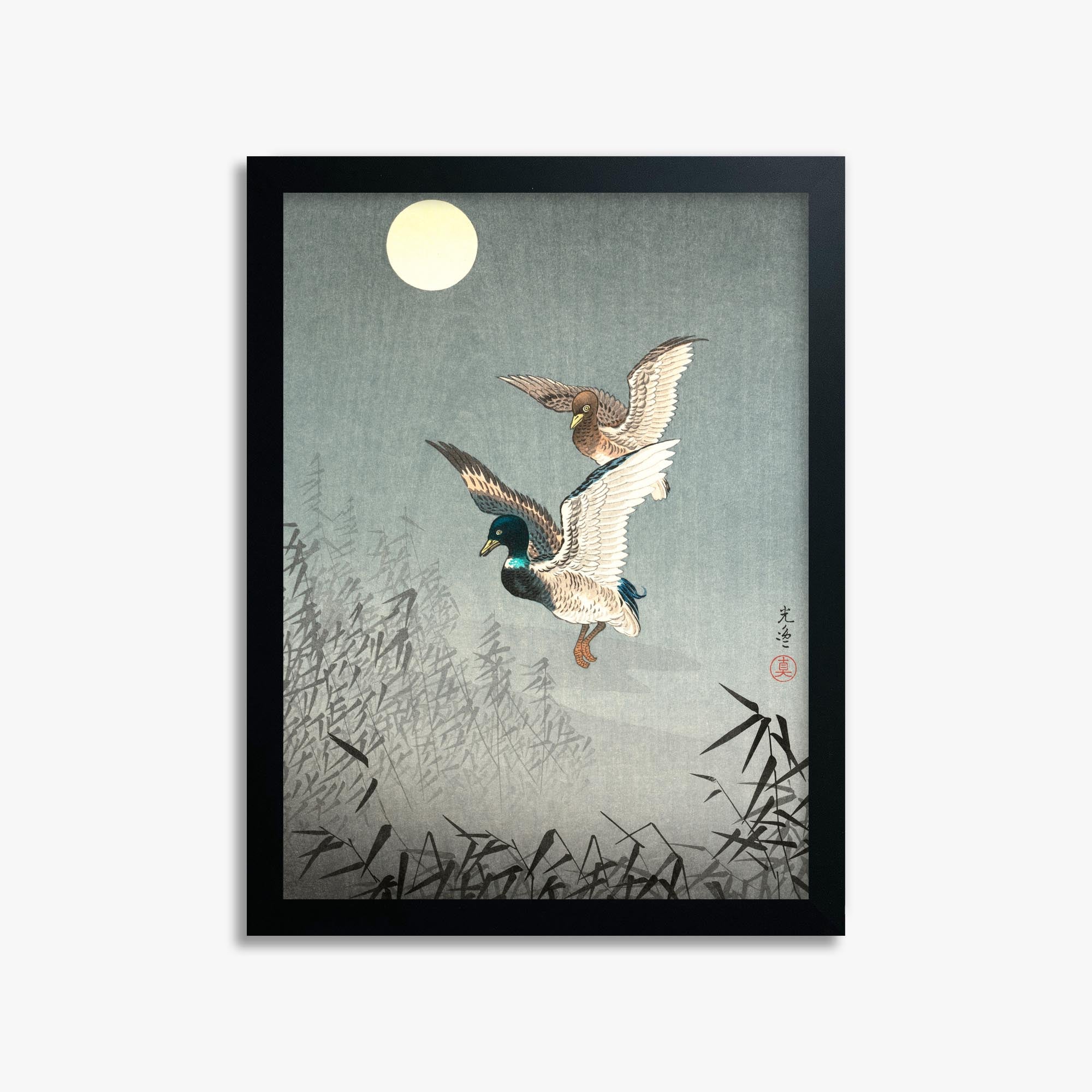 Tsuchiya Koitsu: Tokyo Views: Ducks 30x40 cm Art Reproduction With No Margin