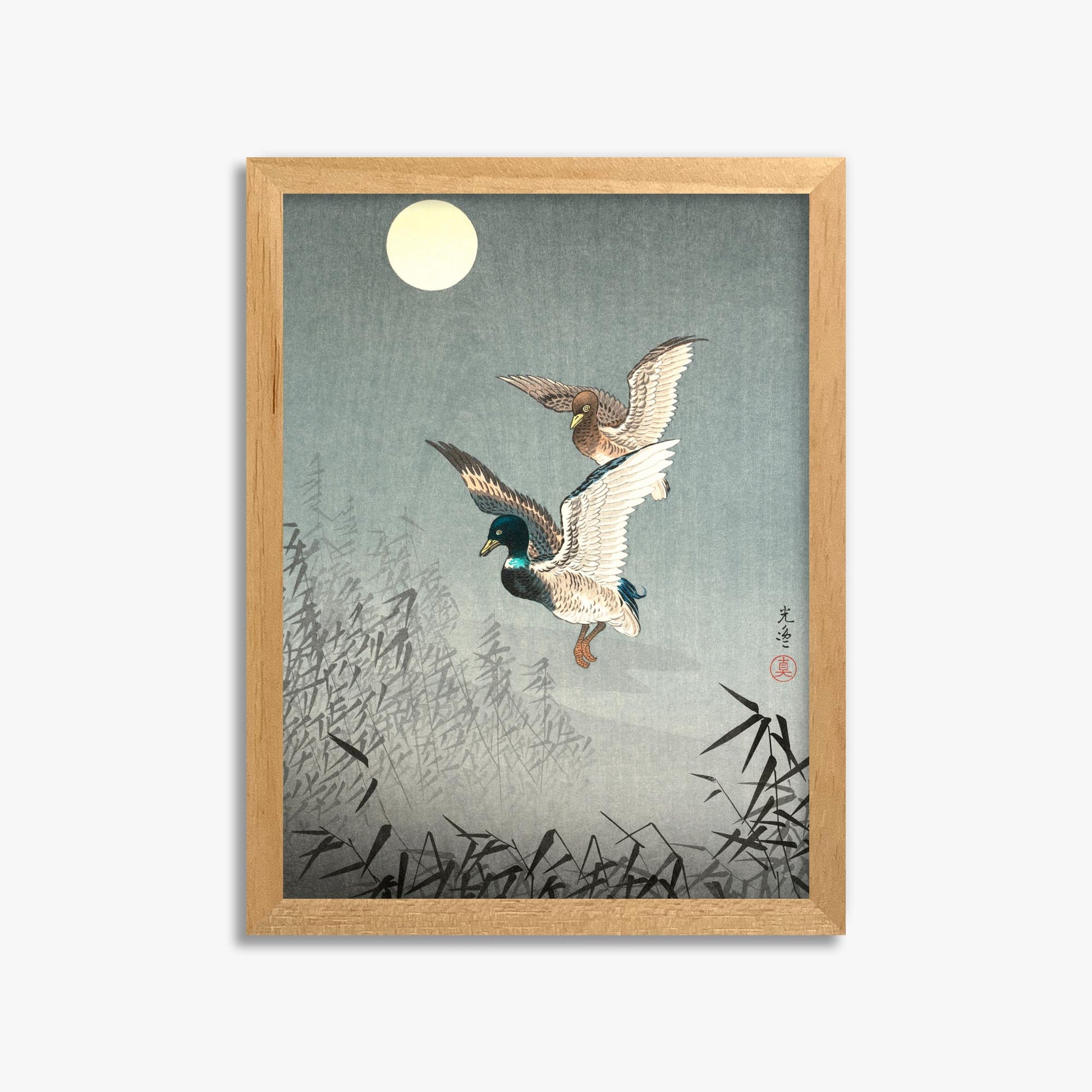 Tsuchiya Koitsu: Tokyo Views: Ducks 30x40 cm Art Reproduction With No Margin