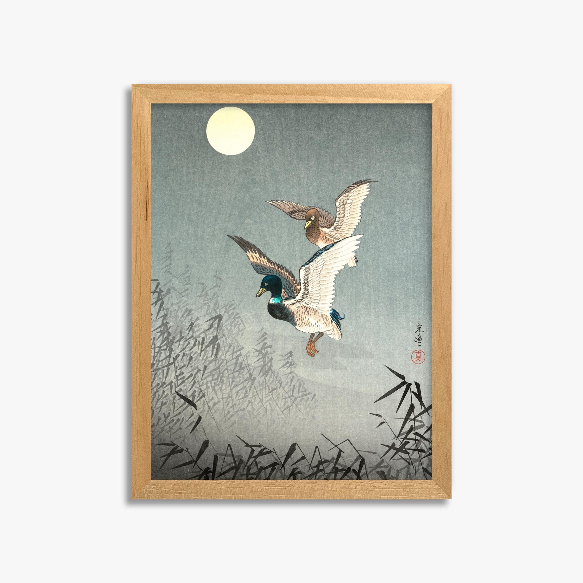 Tsuchiya Koitsu: Tokyo Views: Ducks 30x40 cm Art Reproduction With No Margin