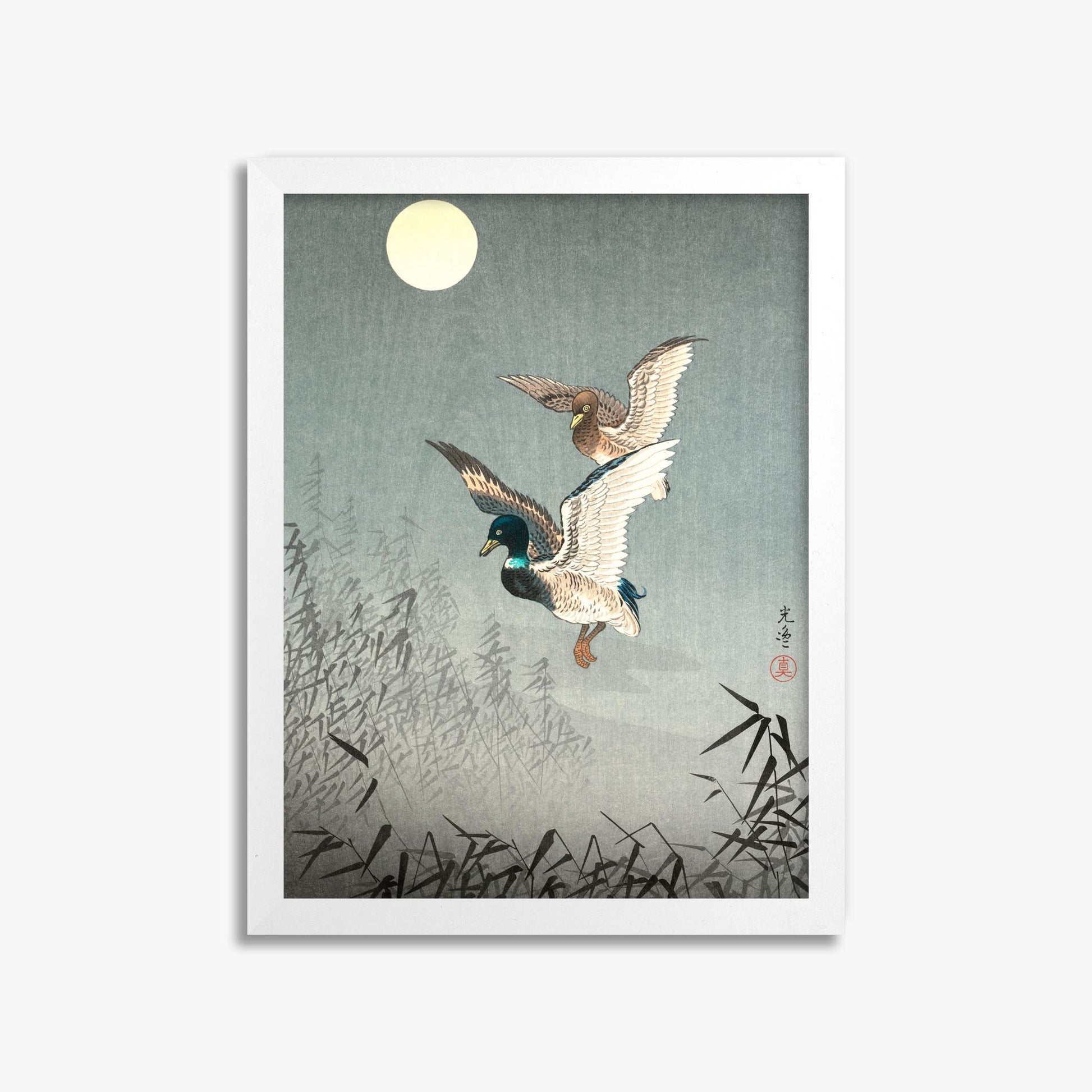 Tsuchiya Koitsu: Tokyo Views: Ducks 30x40 cm Art Reproduction With No Margin