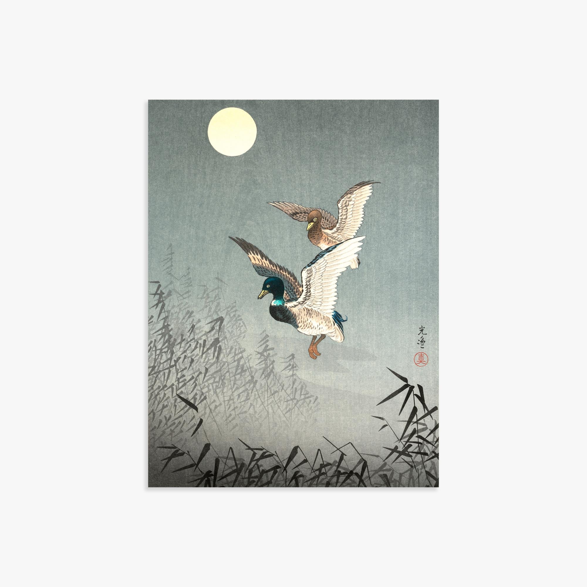 Tsuchiya Koitsu: Tokyo Views: Ducks 30x40 cm Art Reproduction With No Margin