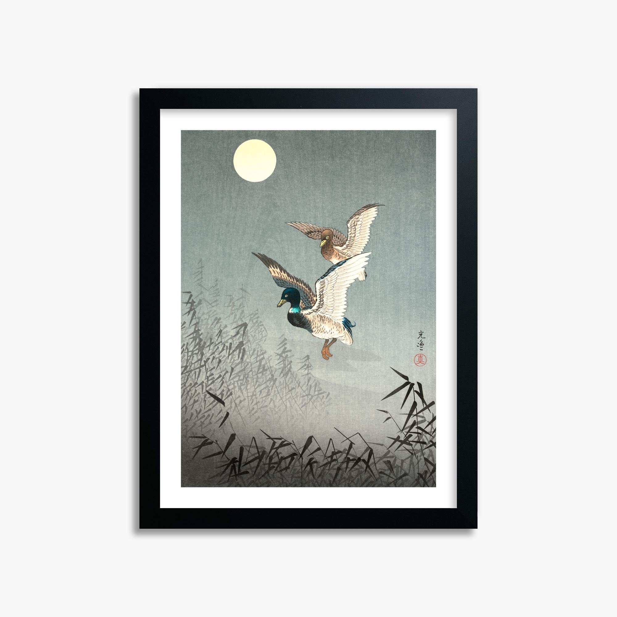 Tsuchiya Koitsu: Tokyo Views: Ducks 30x40 cm Art Reproduction With White Margin