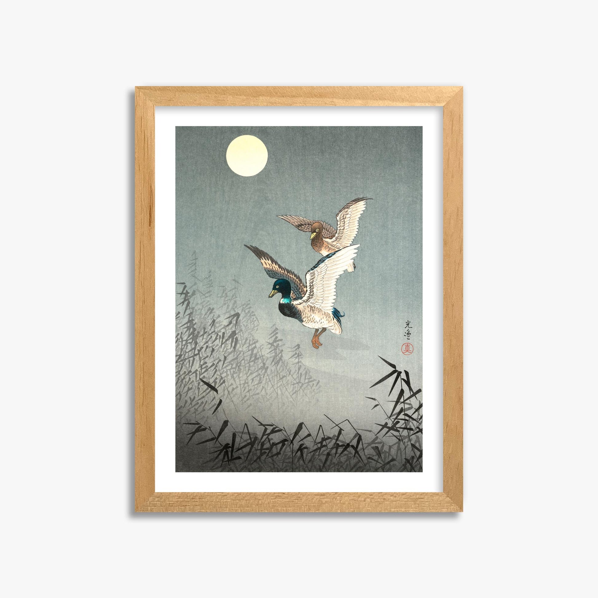 Tsuchiya Koitsu: Tokyo Views: Ducks 30x40 cm Art Reproduction With White Margin