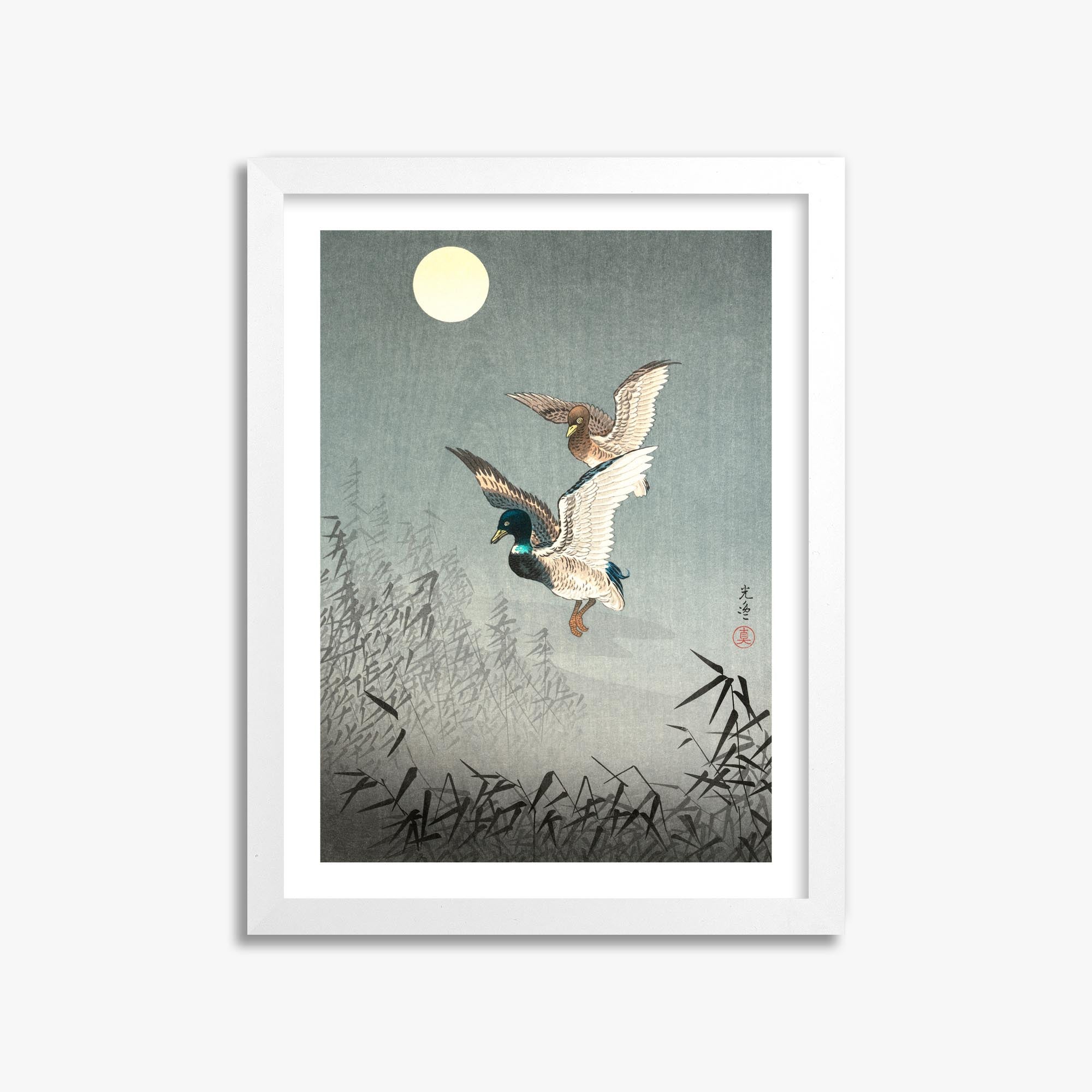 Tsuchiya Koitsu: Tokyo Views: Ducks 30x40 cm Art Reproduction With White Margin