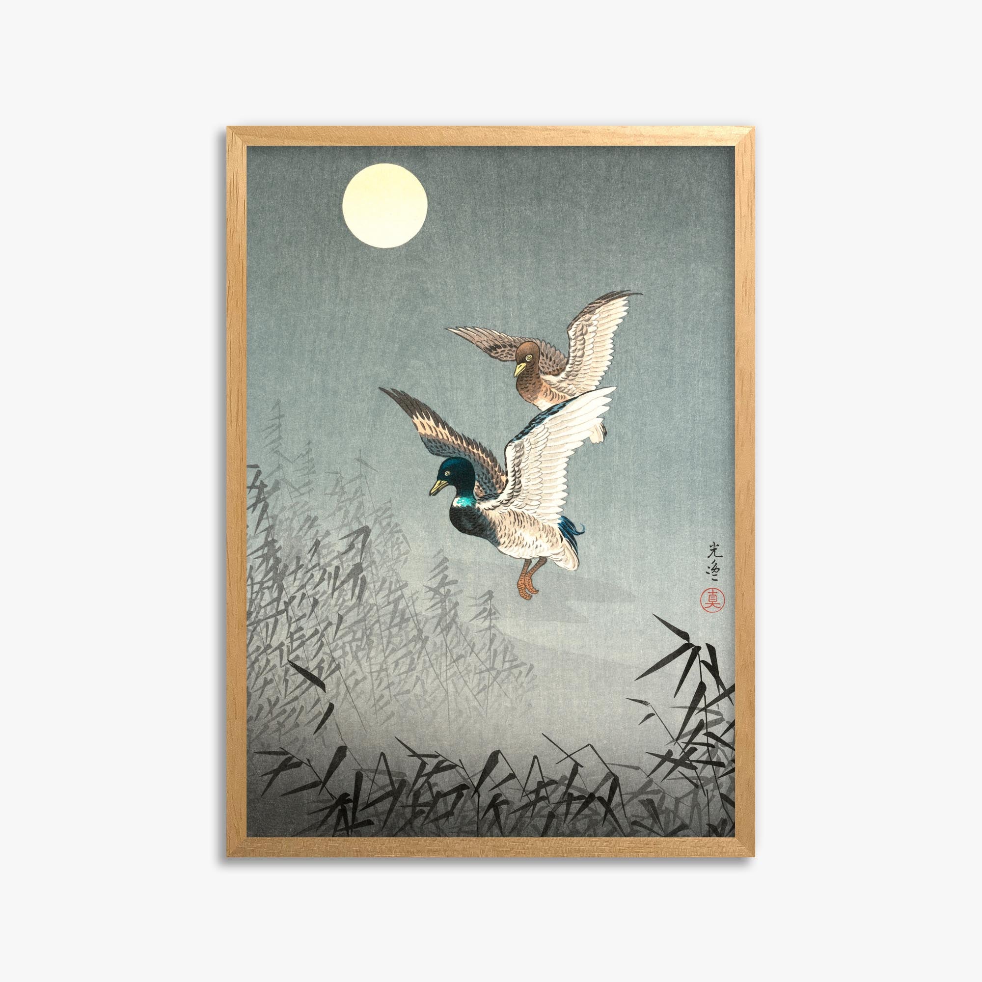 Tsuchiya Koitsu: Tokyo Views: Ducks 50x70 cm Art Reproduction With No Margin