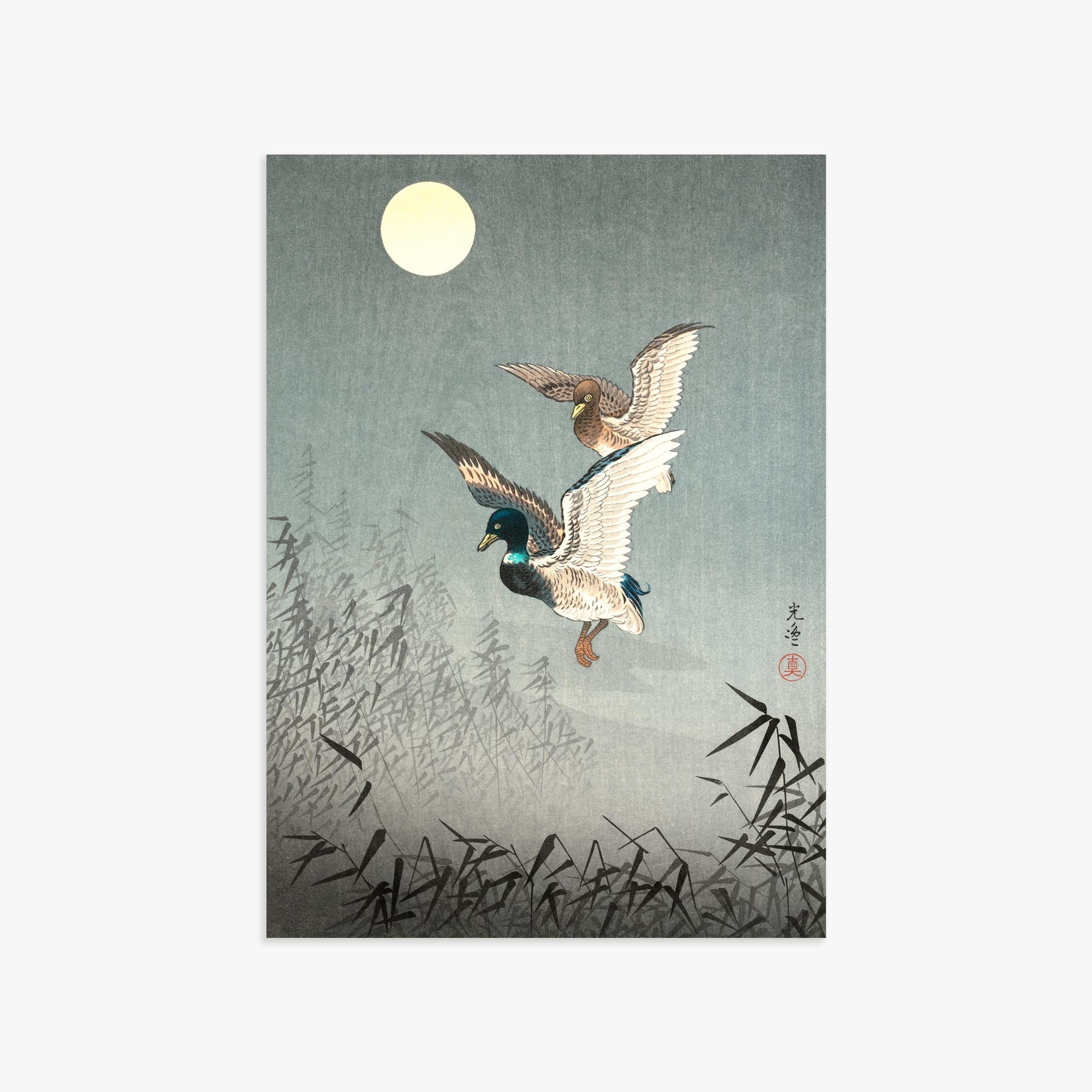 Tsuchiya Koitsu: Tokyo Views: Ducks 50x70 cm Art Reproduction With No Margin